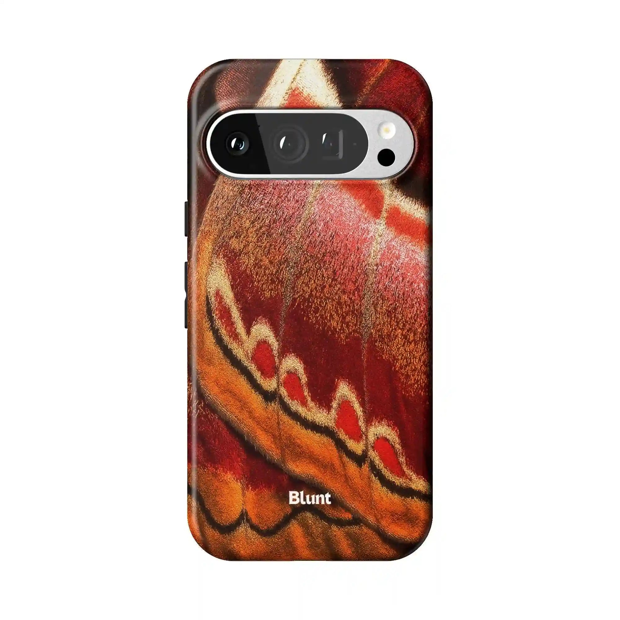 bluntcasesus.it.com