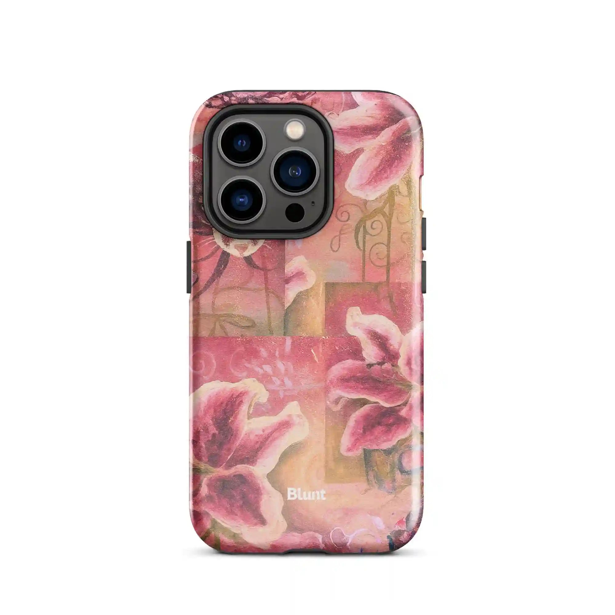 bluntcasesus.it.com