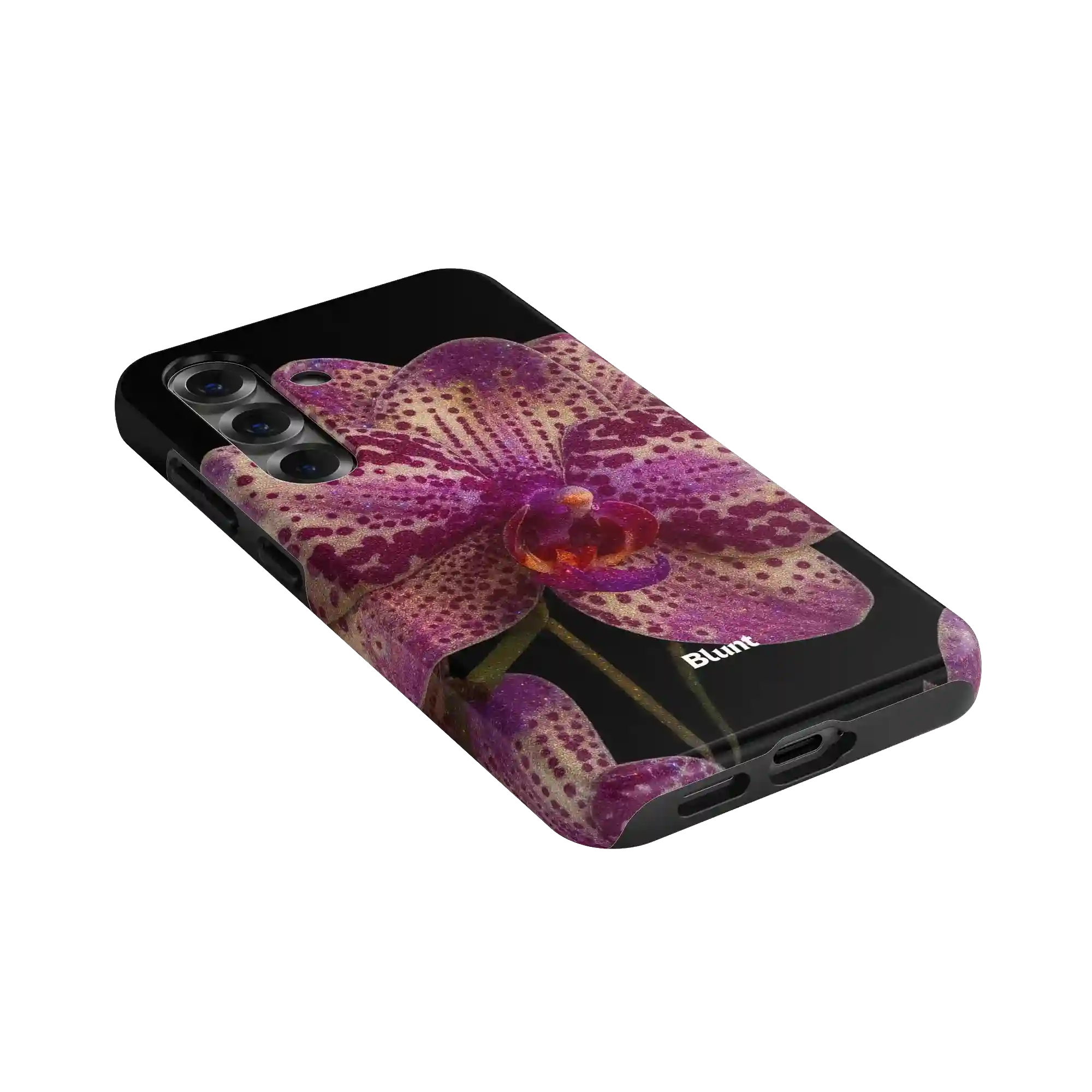 bluntcasesus.it.com