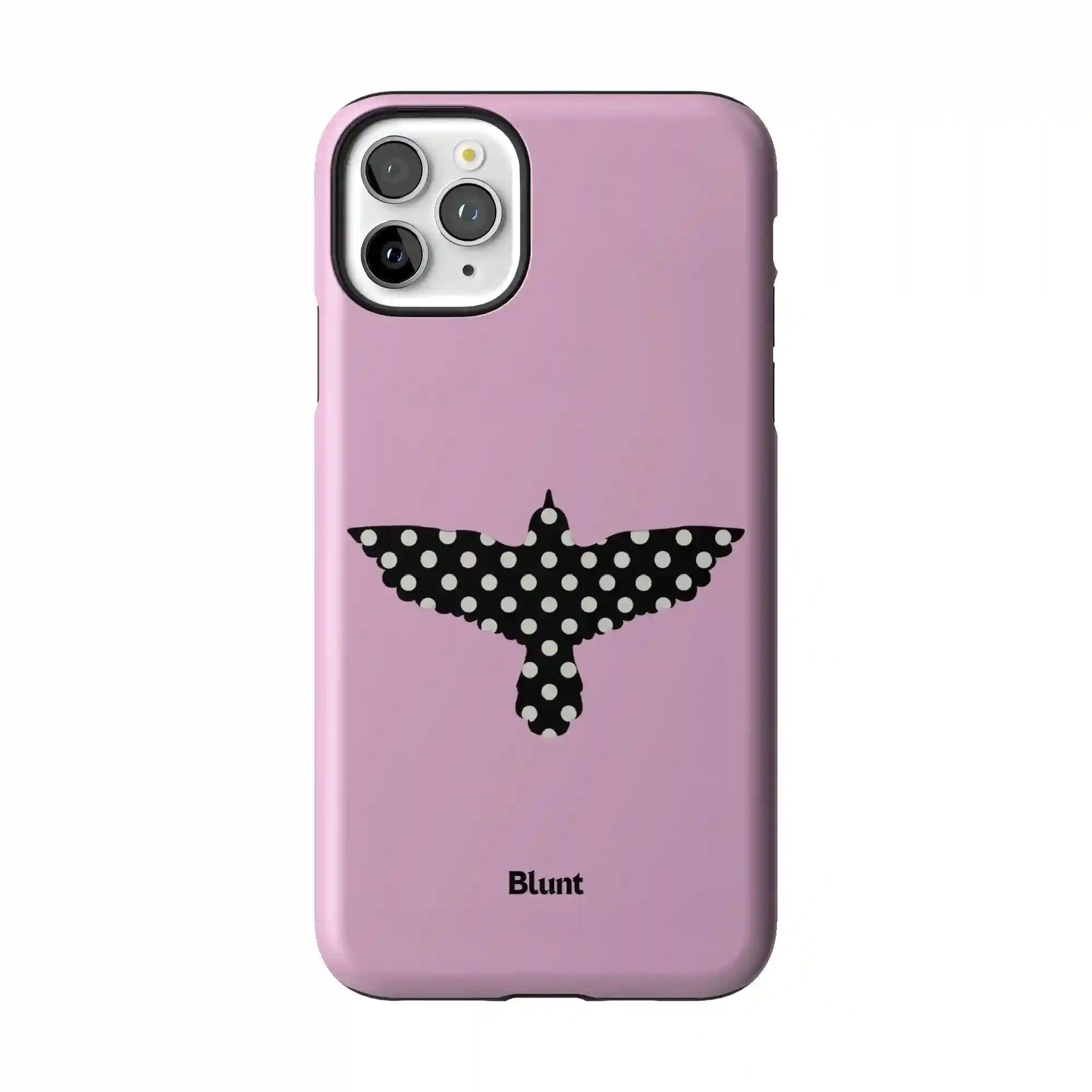 bluntcasesus.it.com