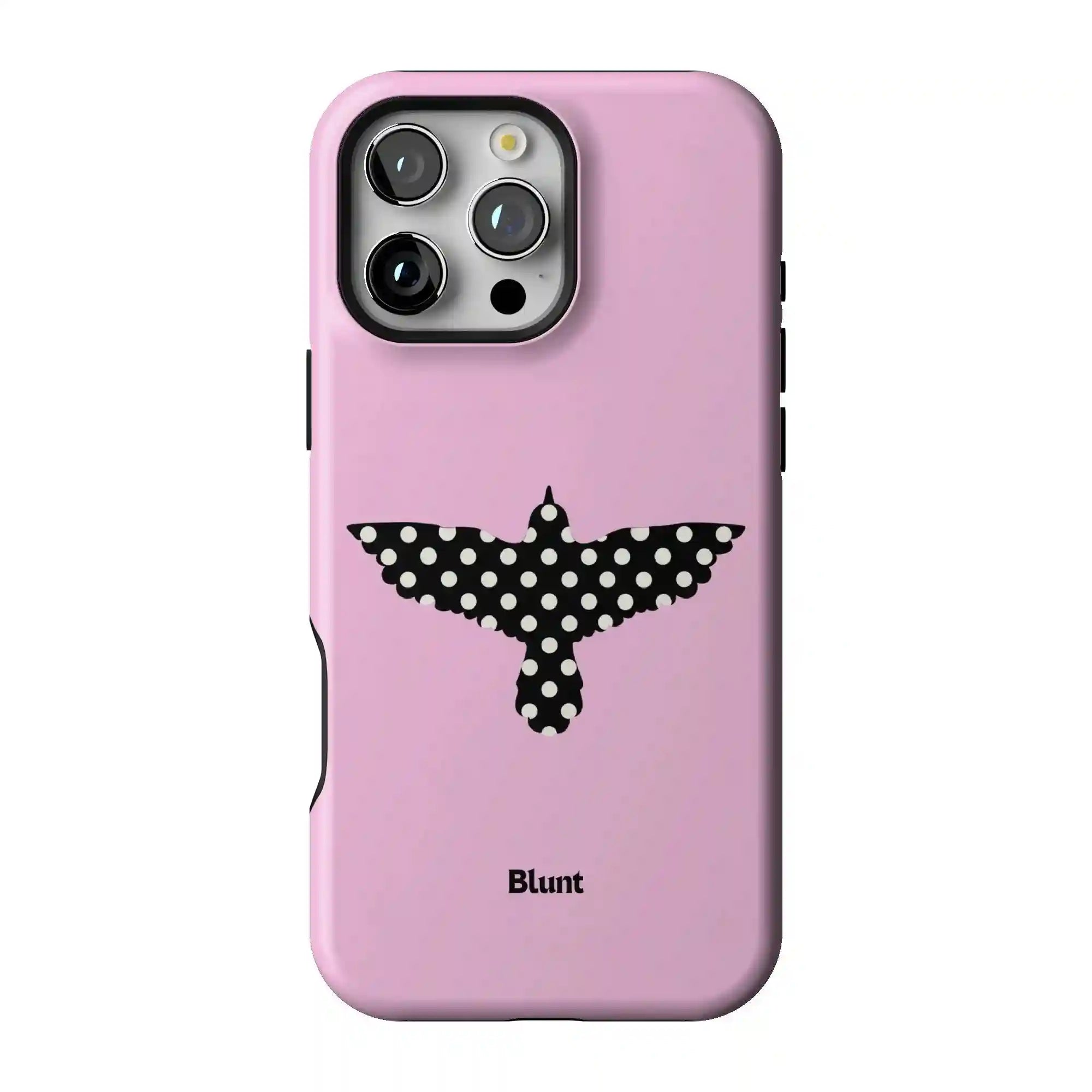 bluntcasesus.it.com
