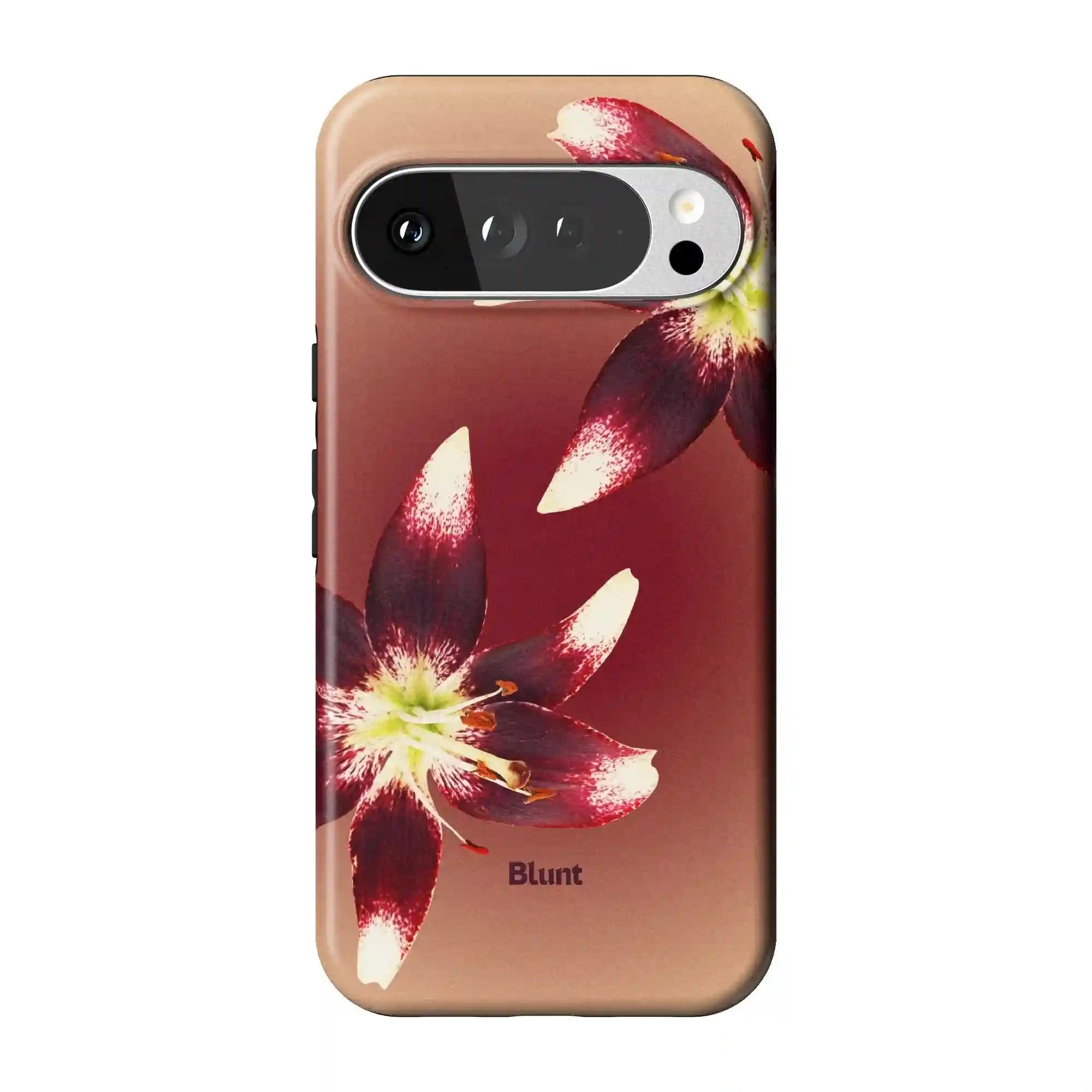 bluntcasesus.it.com