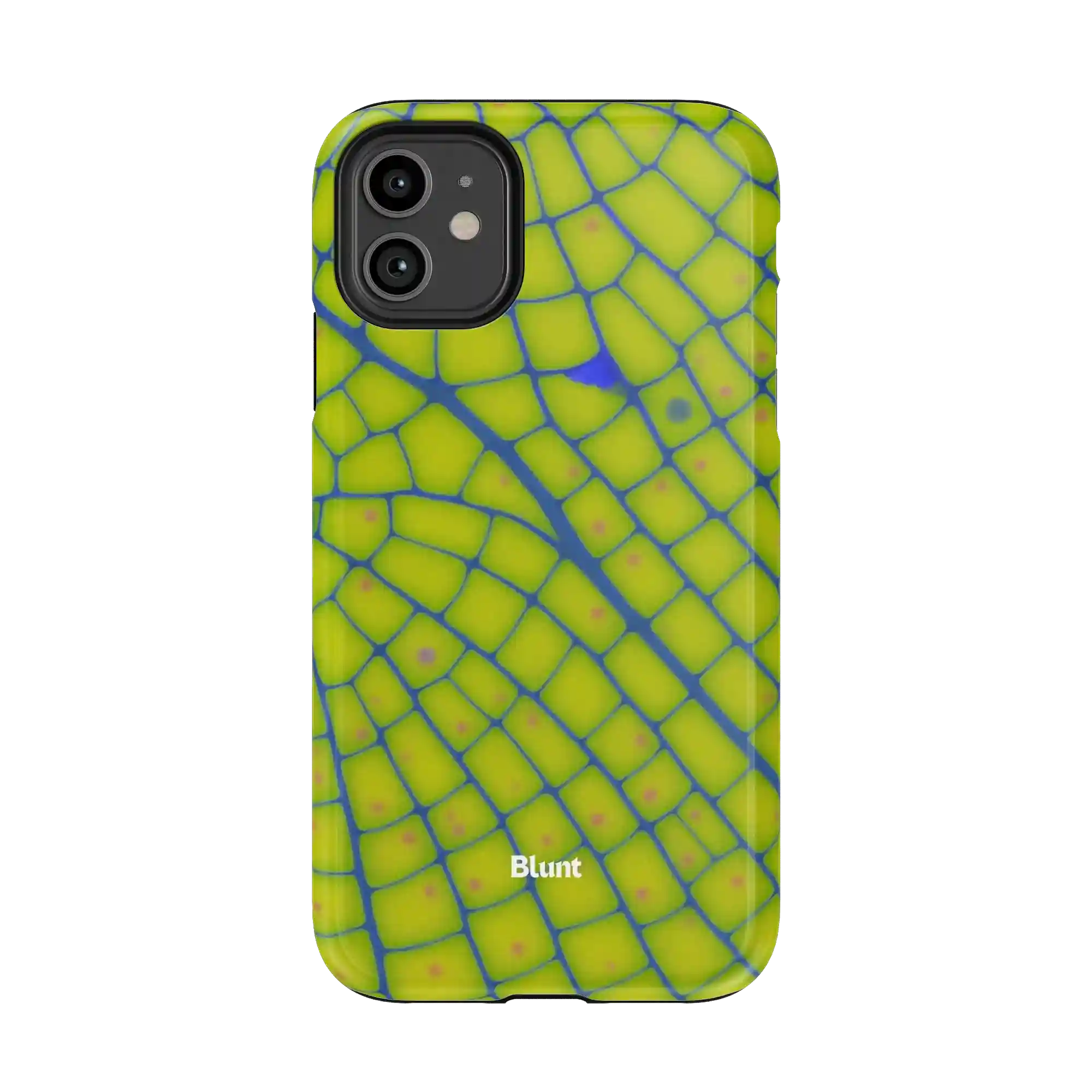 bluntcasesus.it.com