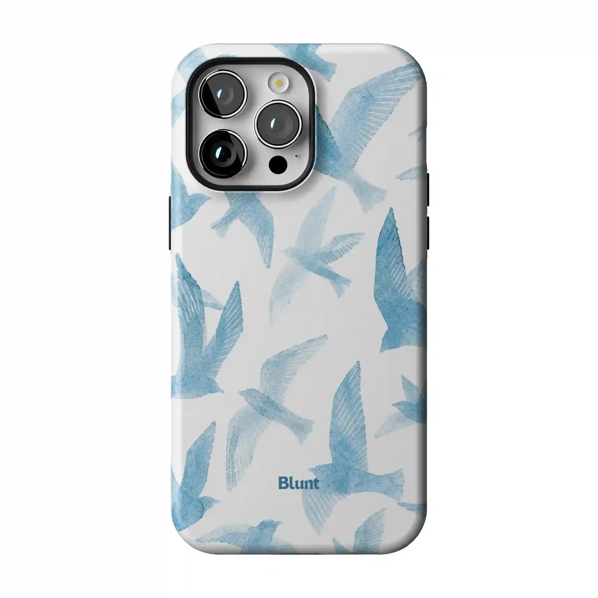 bluntcasesus.it.com