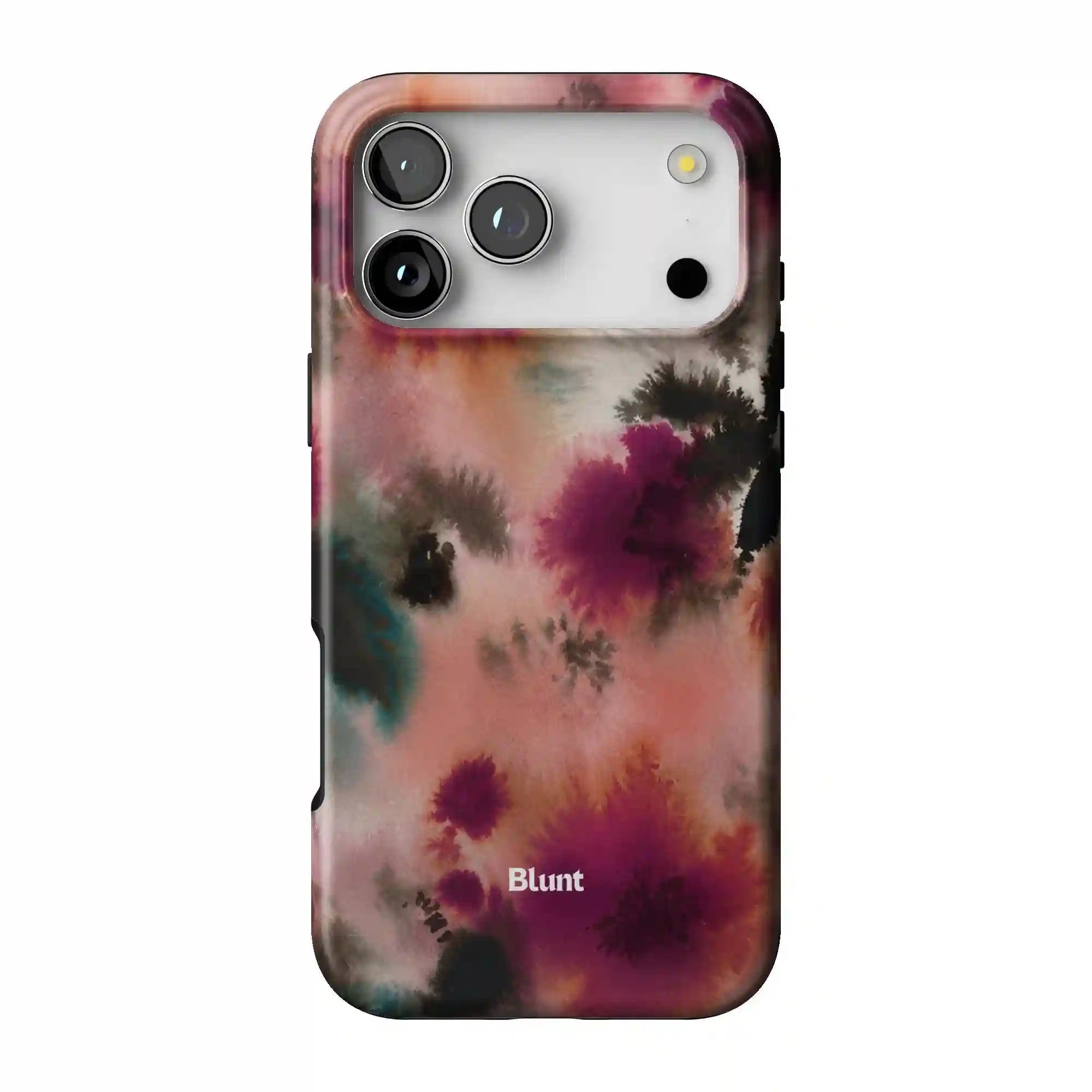 bluntcasesus.it.com