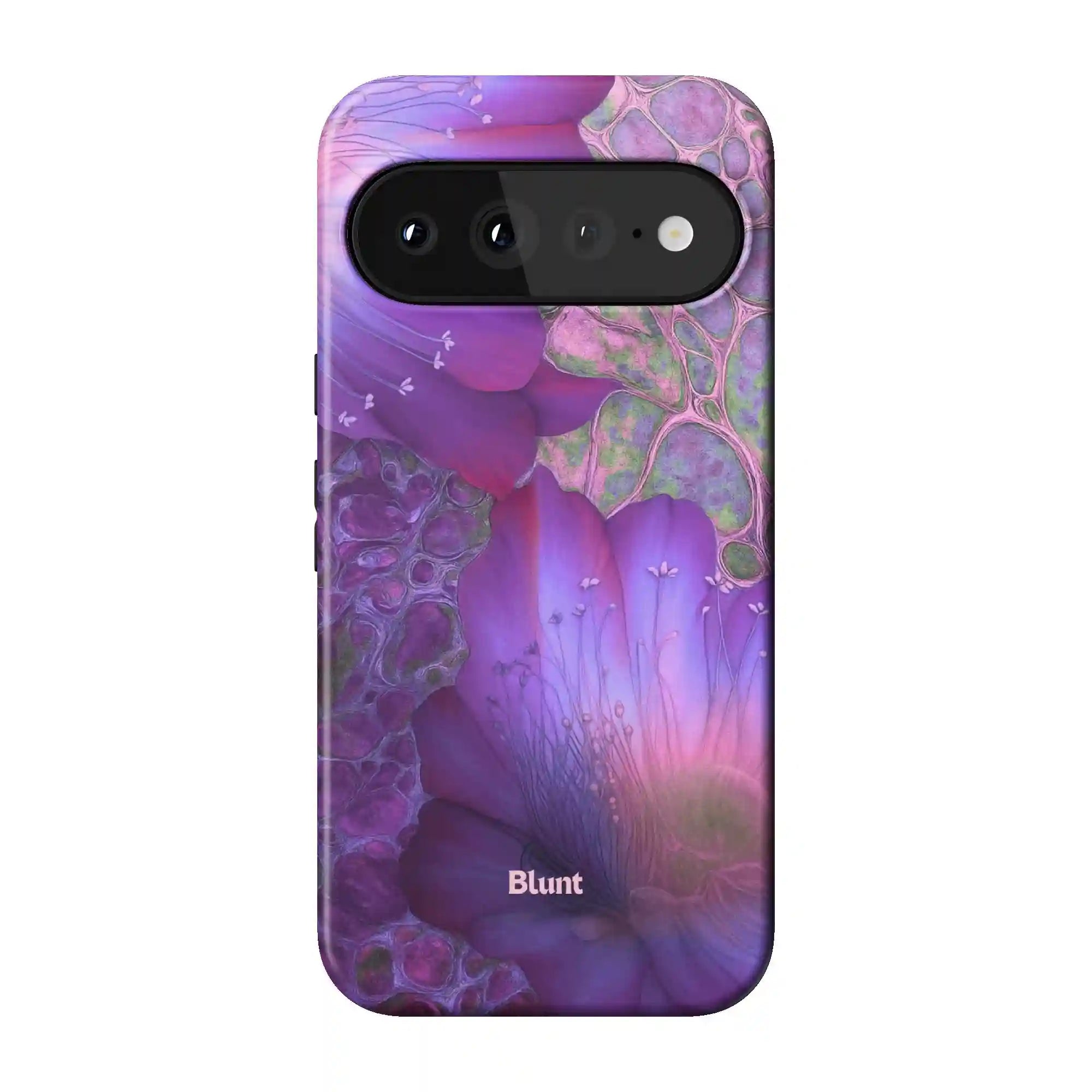 bluntcasesus.it.com