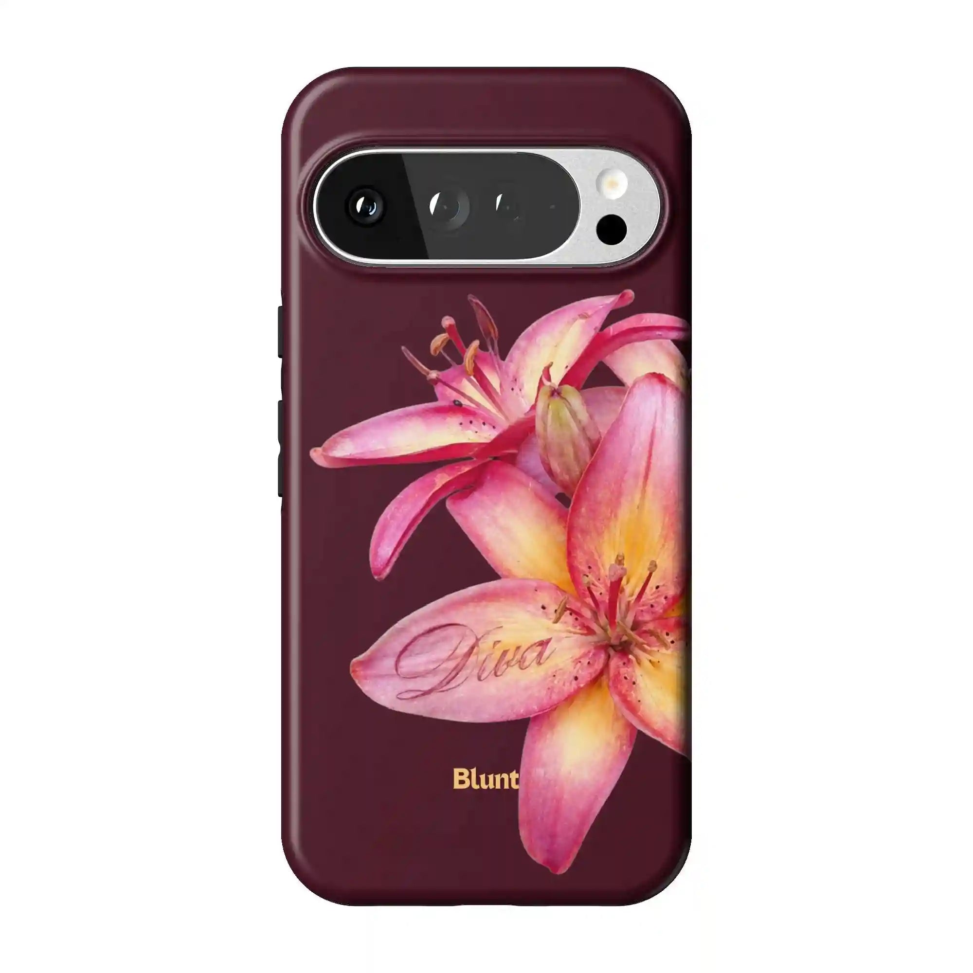 bluntcasesus.it.com