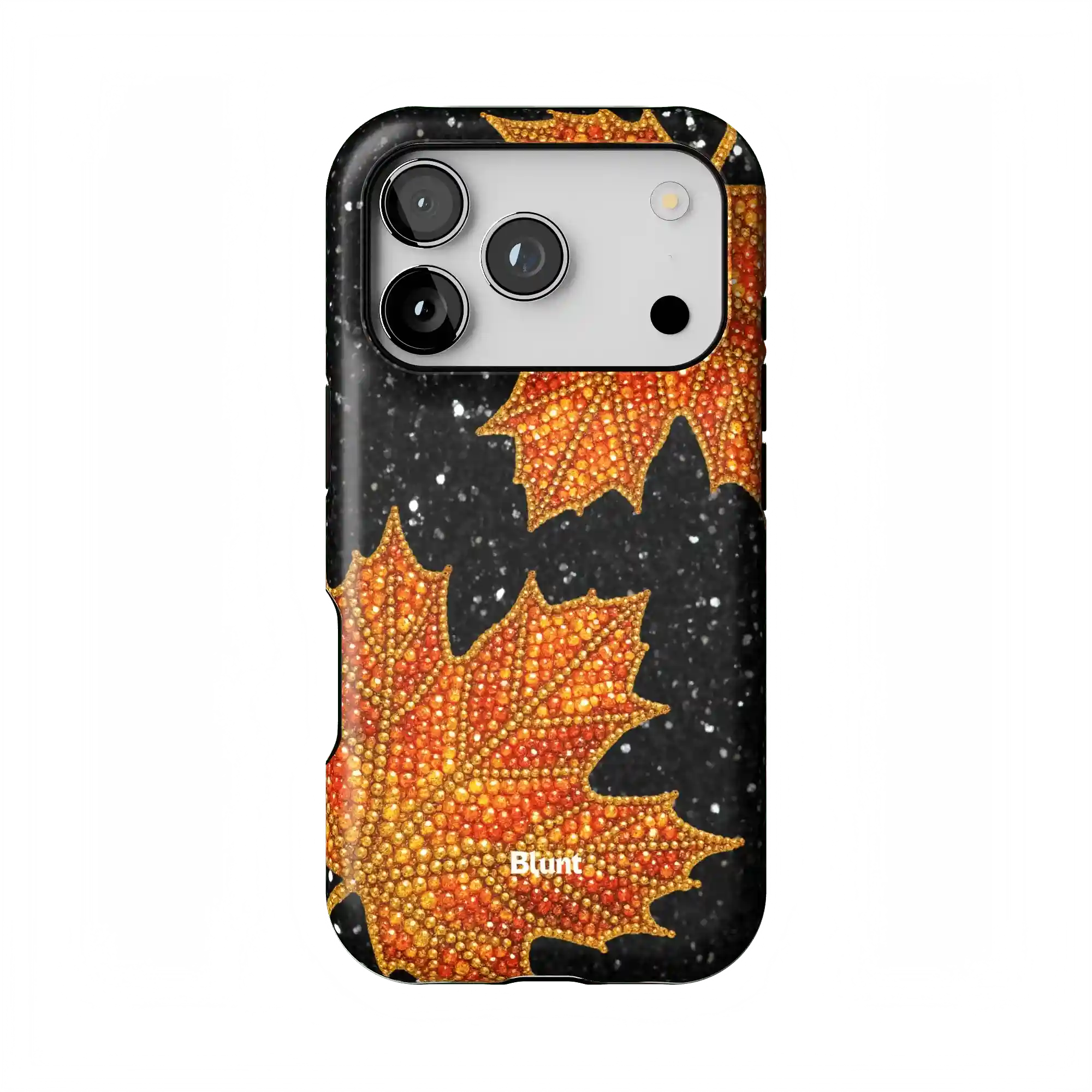 bluntcasesus.it.com