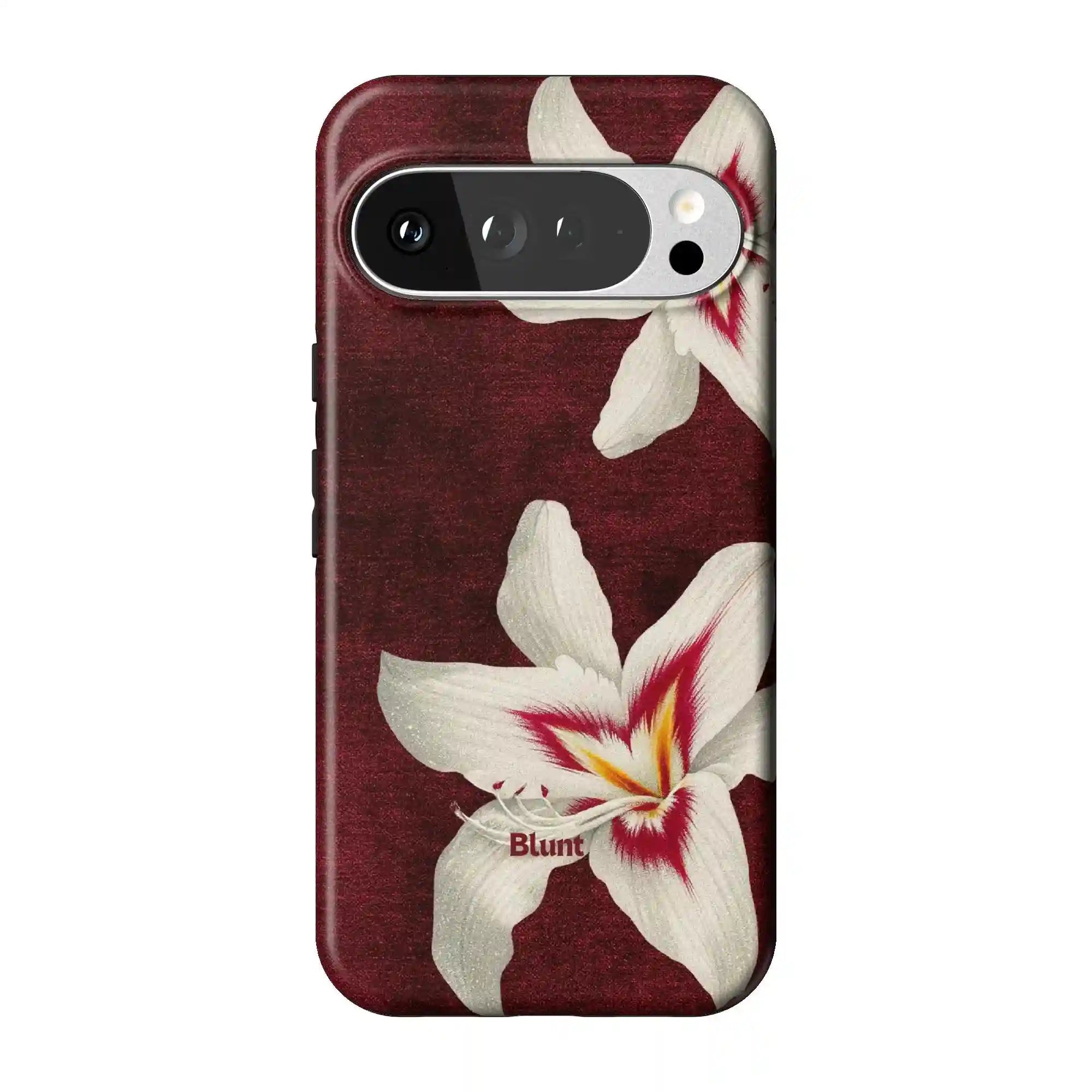 bluntcasesus.it.com