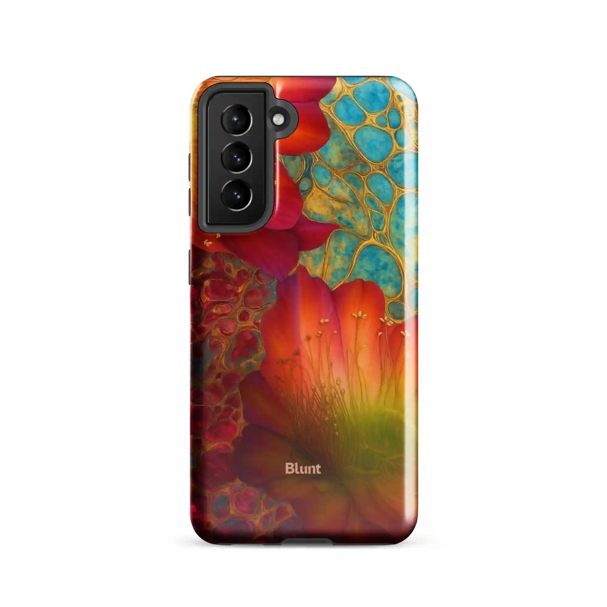 bluntcasesus.it.com