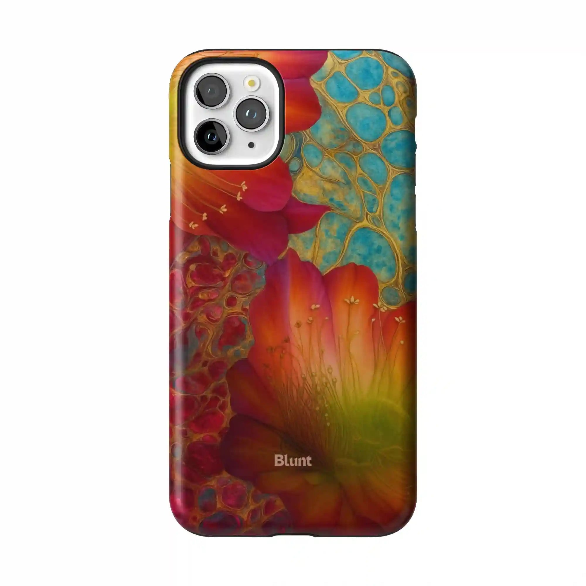 bluntcasesus.it.com
