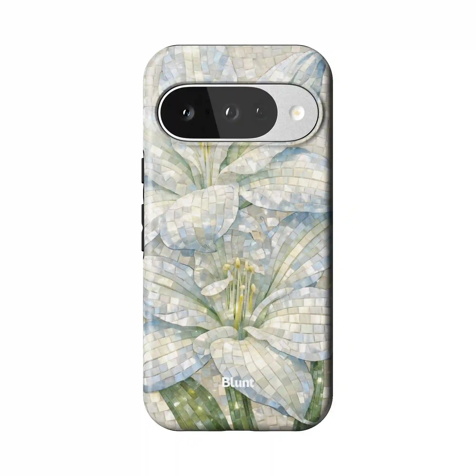 bluntcasesus.it.com