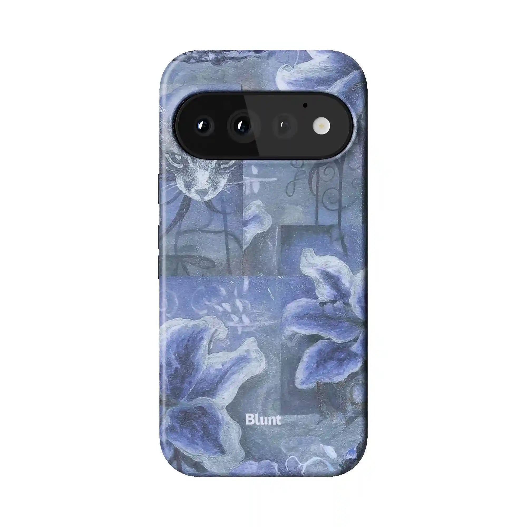 bluntcasesus.it.com