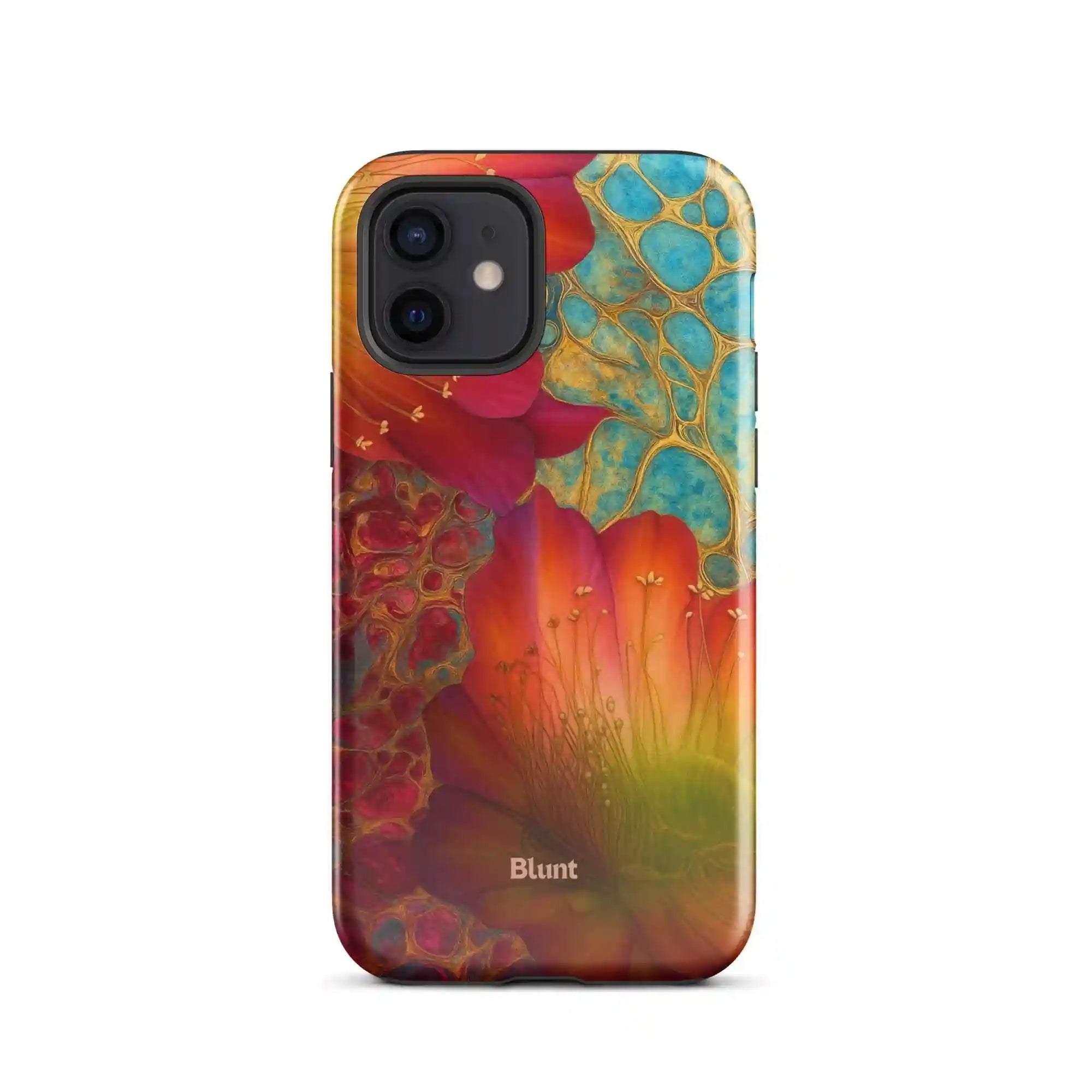 bluntcasesus.it.com