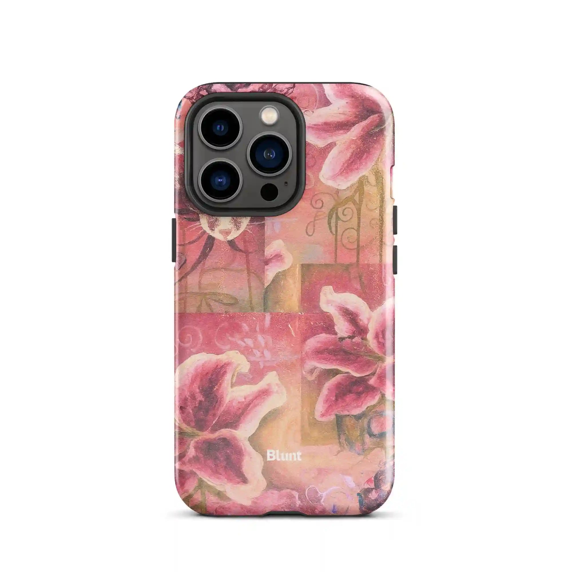 bluntcasesus.it.com