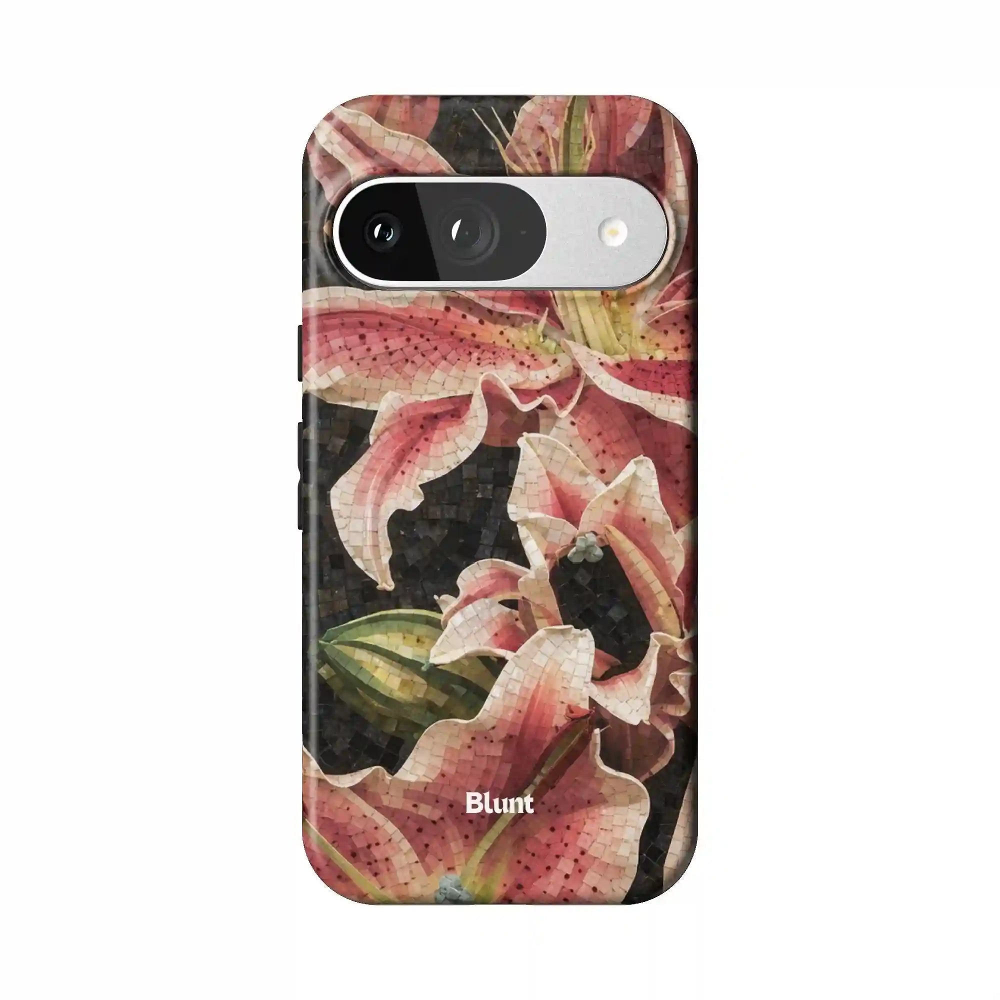 bluntcasesus.it.com