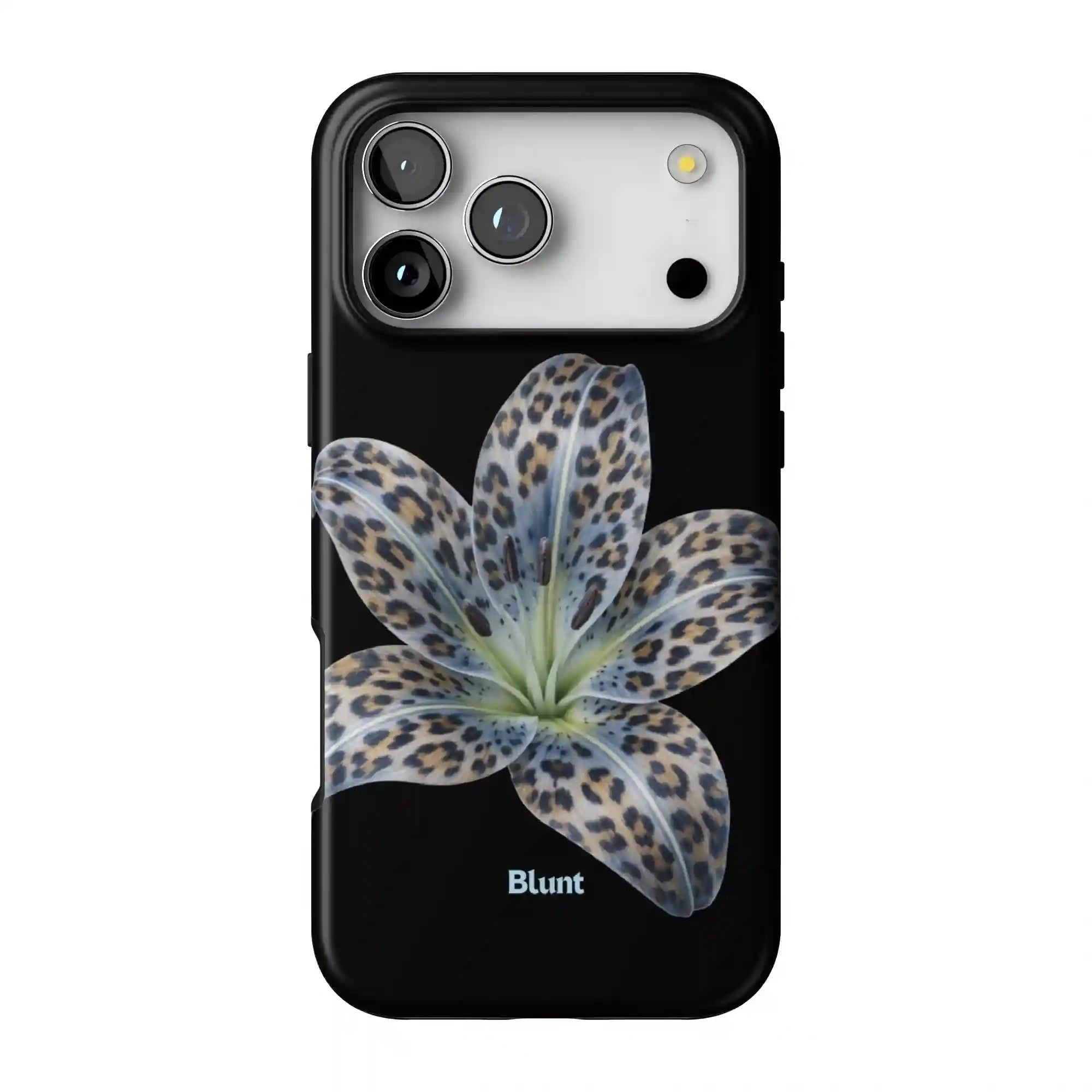 bluntcasesus.it.com