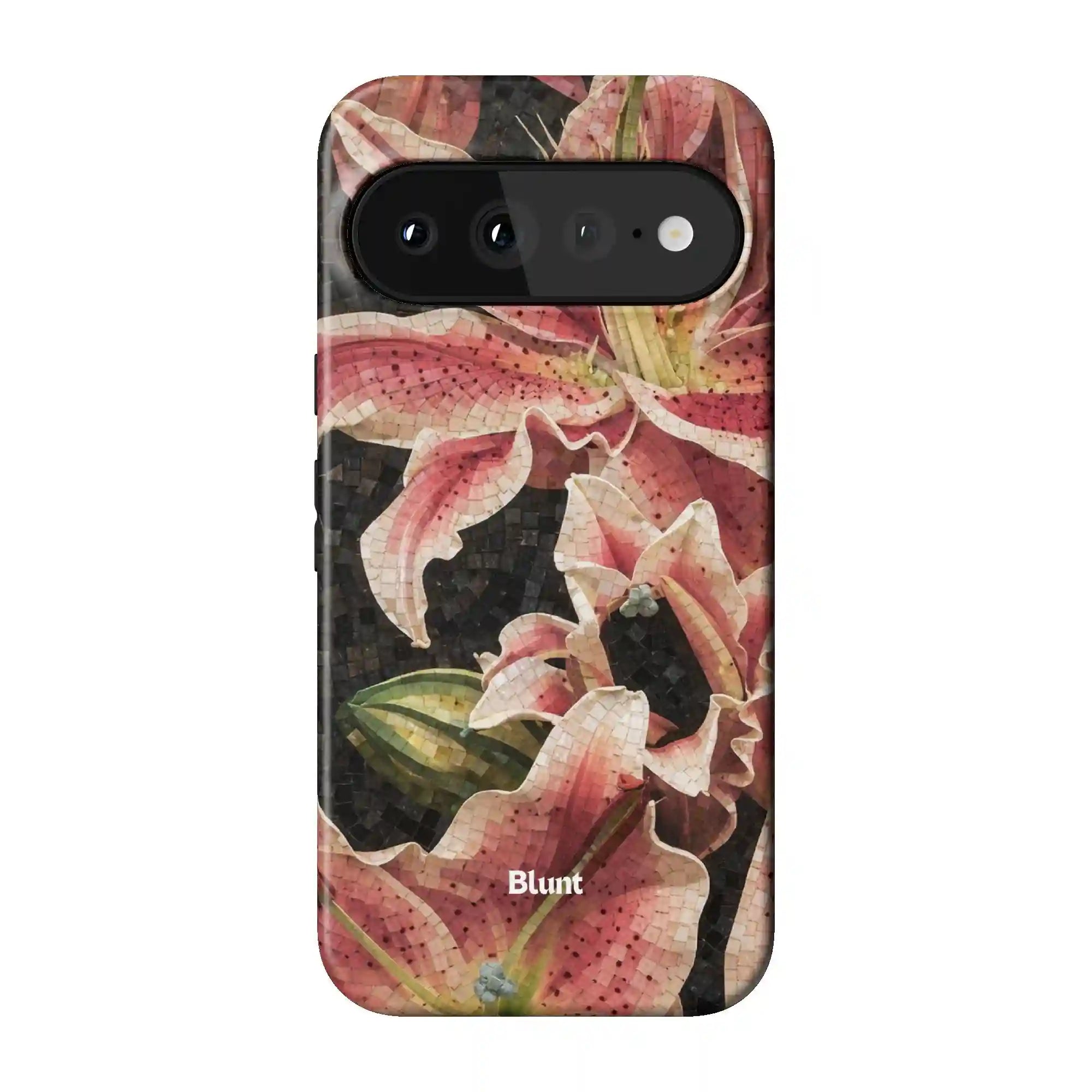 bluntcasesus.it.com