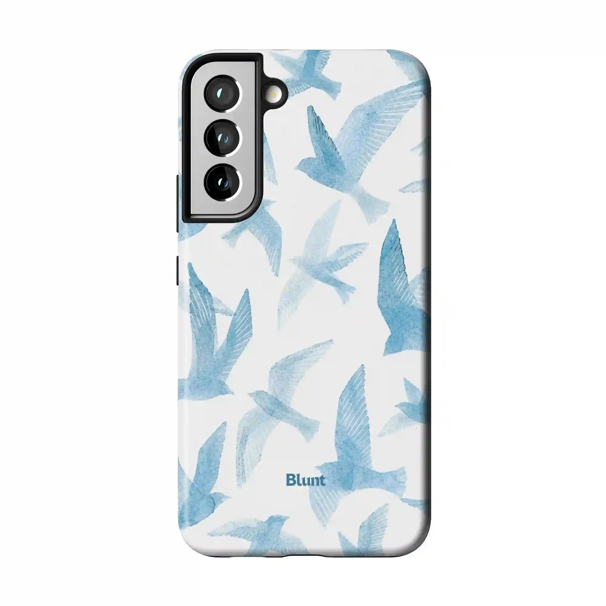 bluntcasesus.it.com