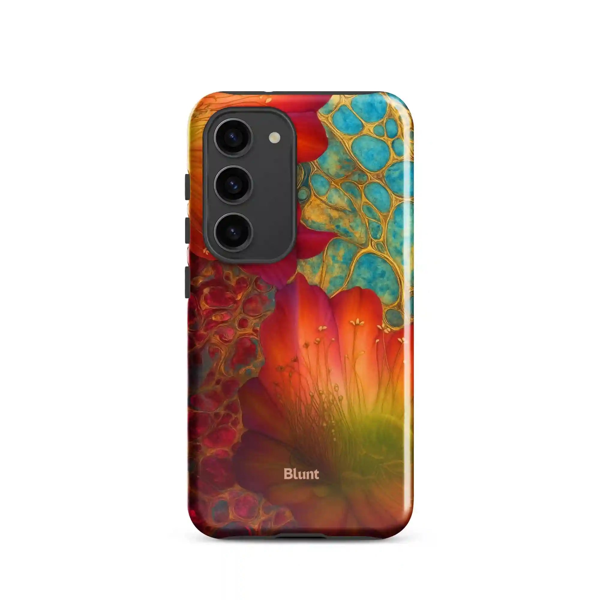 bluntcasesus.it.com