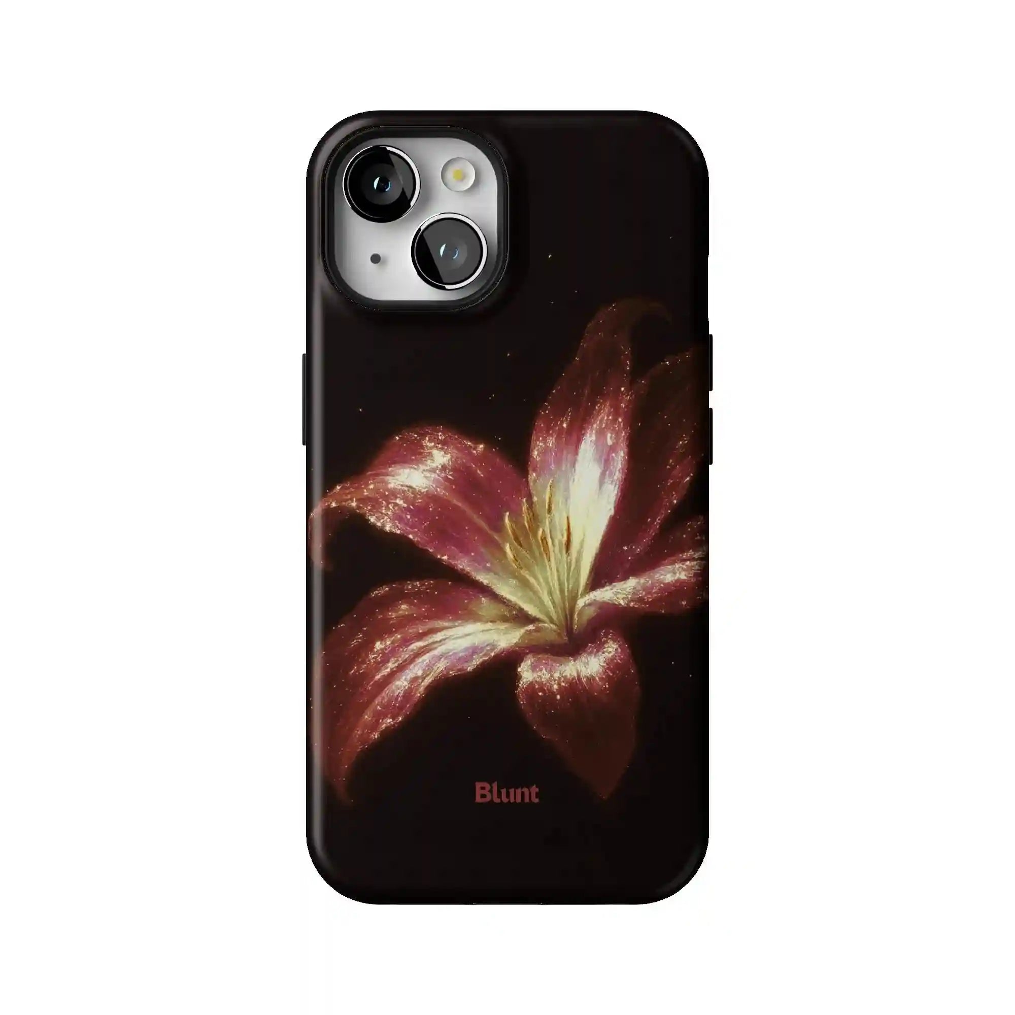 bluntcasesus.it.com