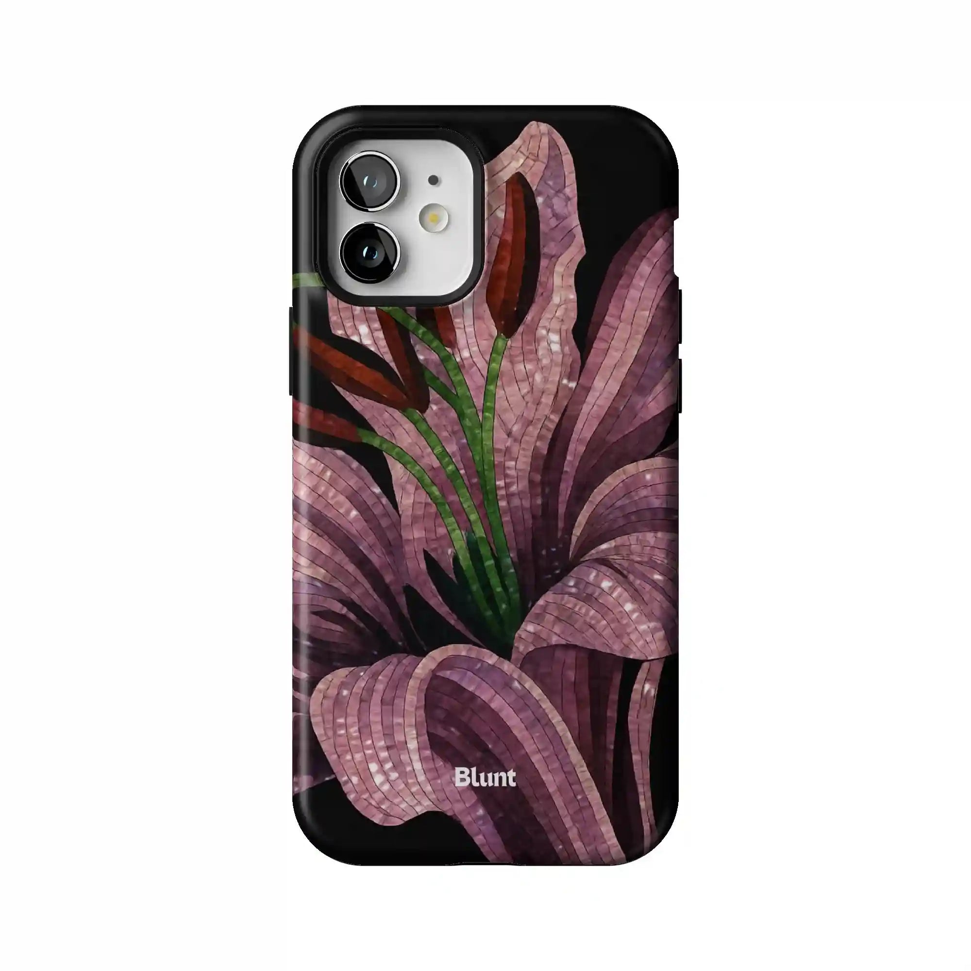 bluntcasesus.it.com