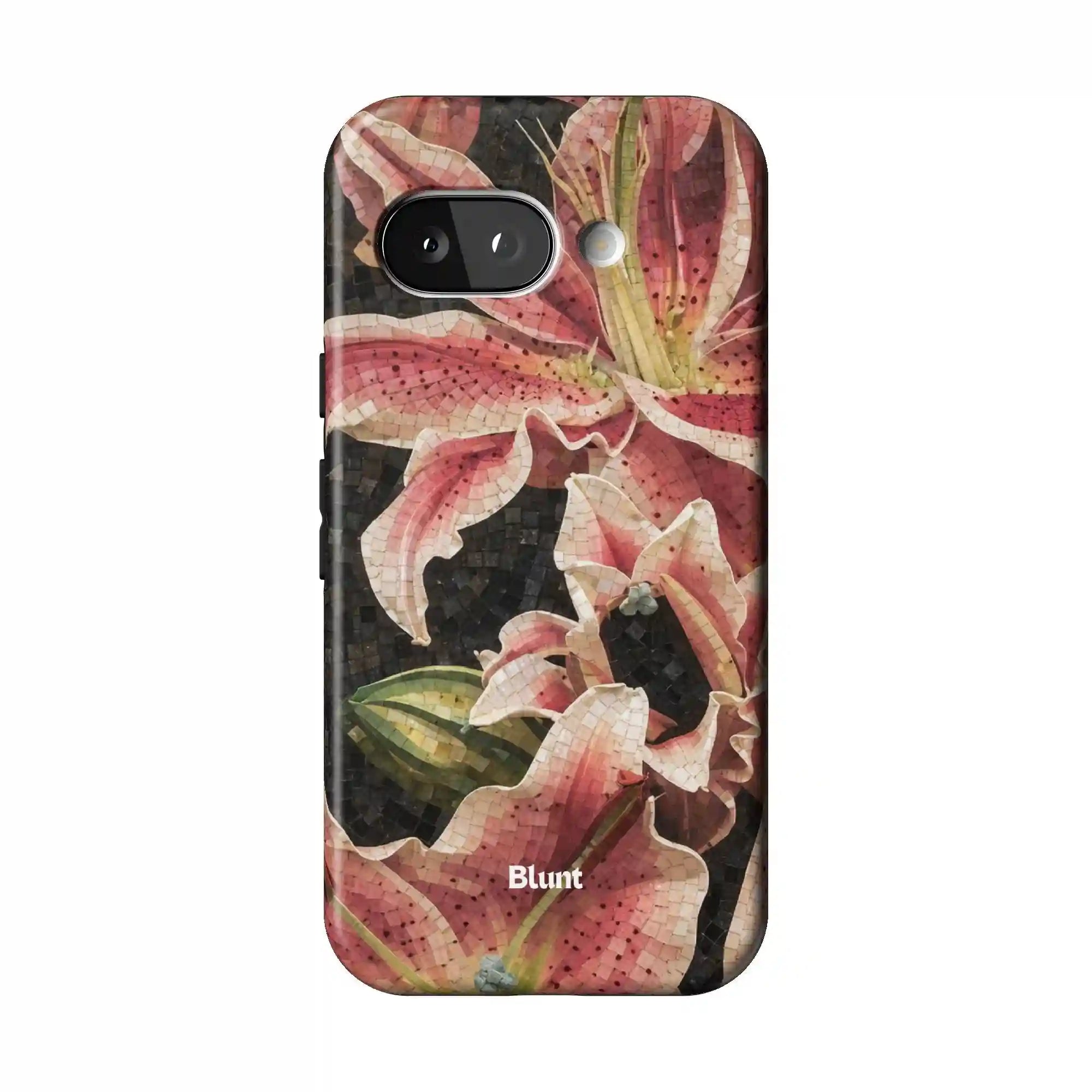 bluntcasesus.it.com