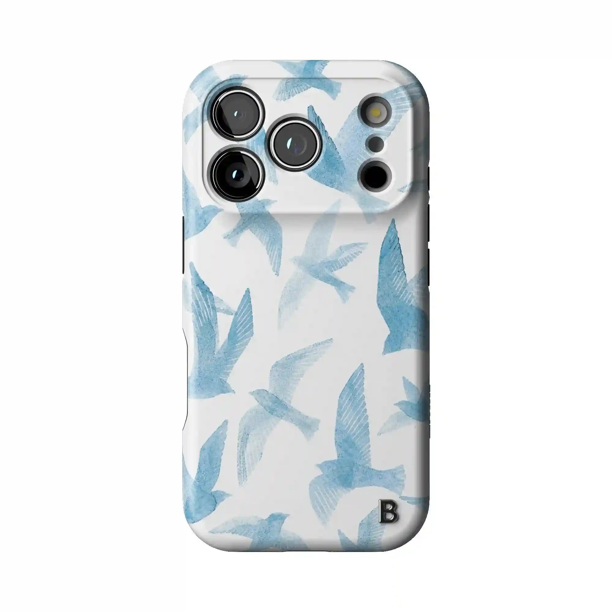 bluntcasesus.it.com