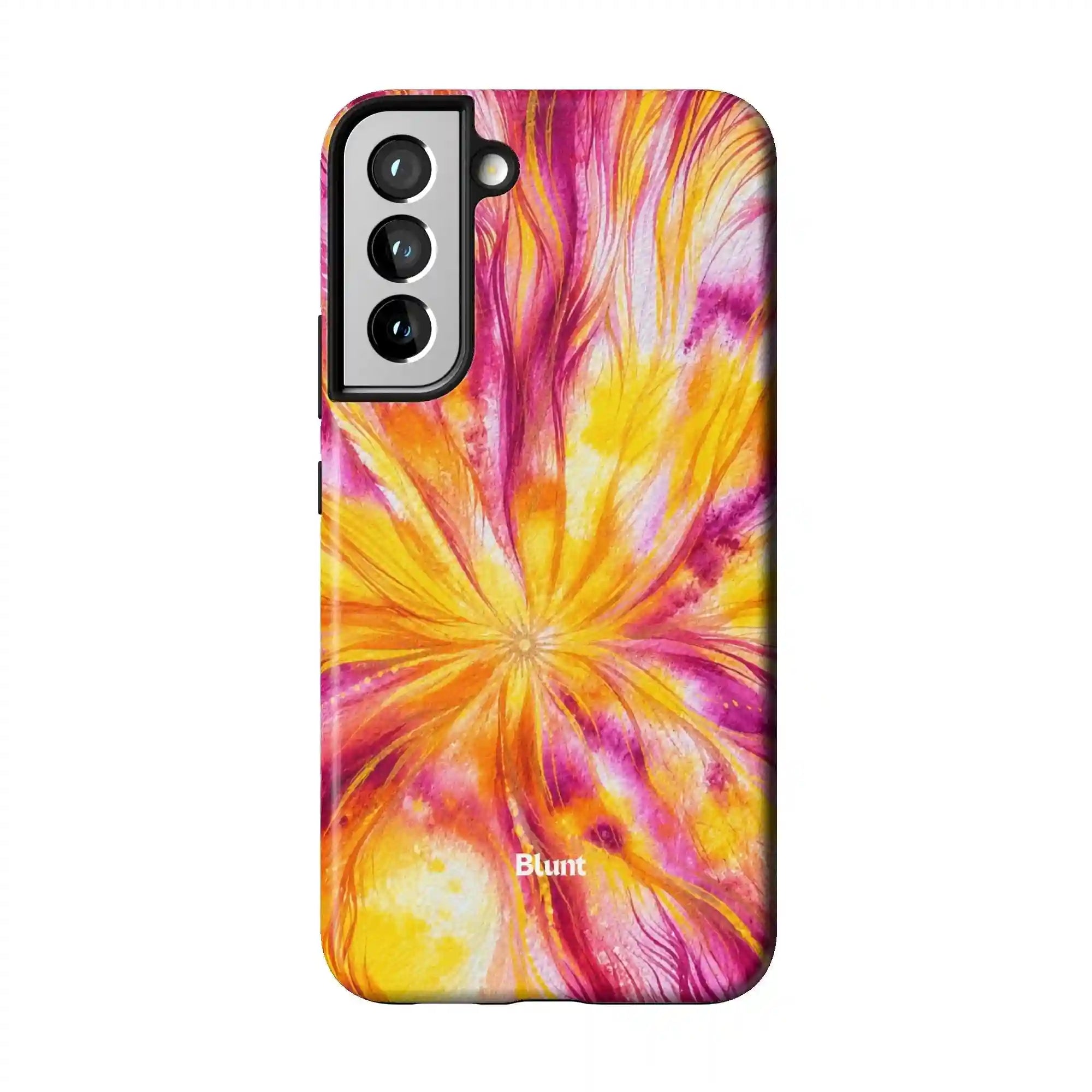 bluntcasesus.it.com