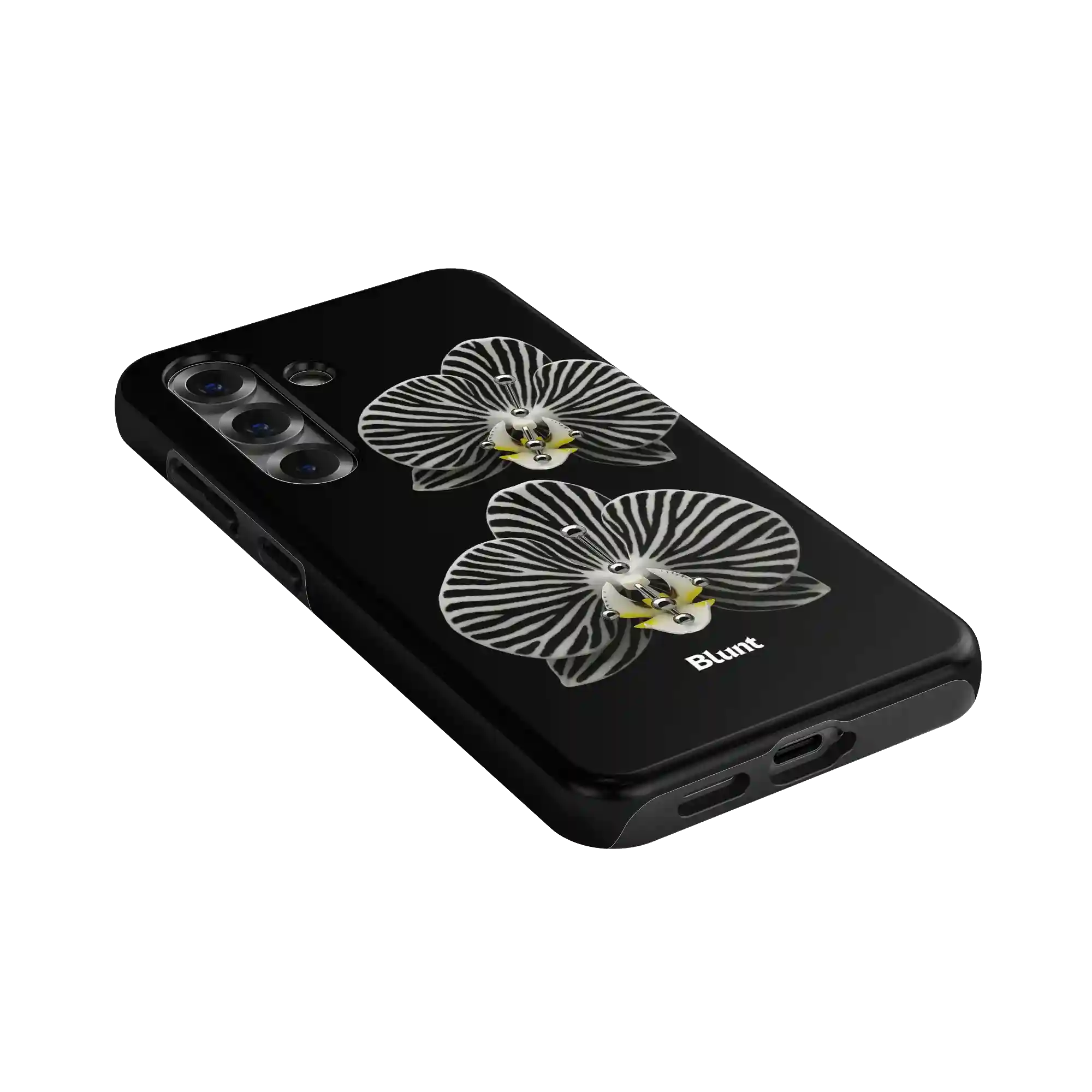 bluntcasesus.it.com