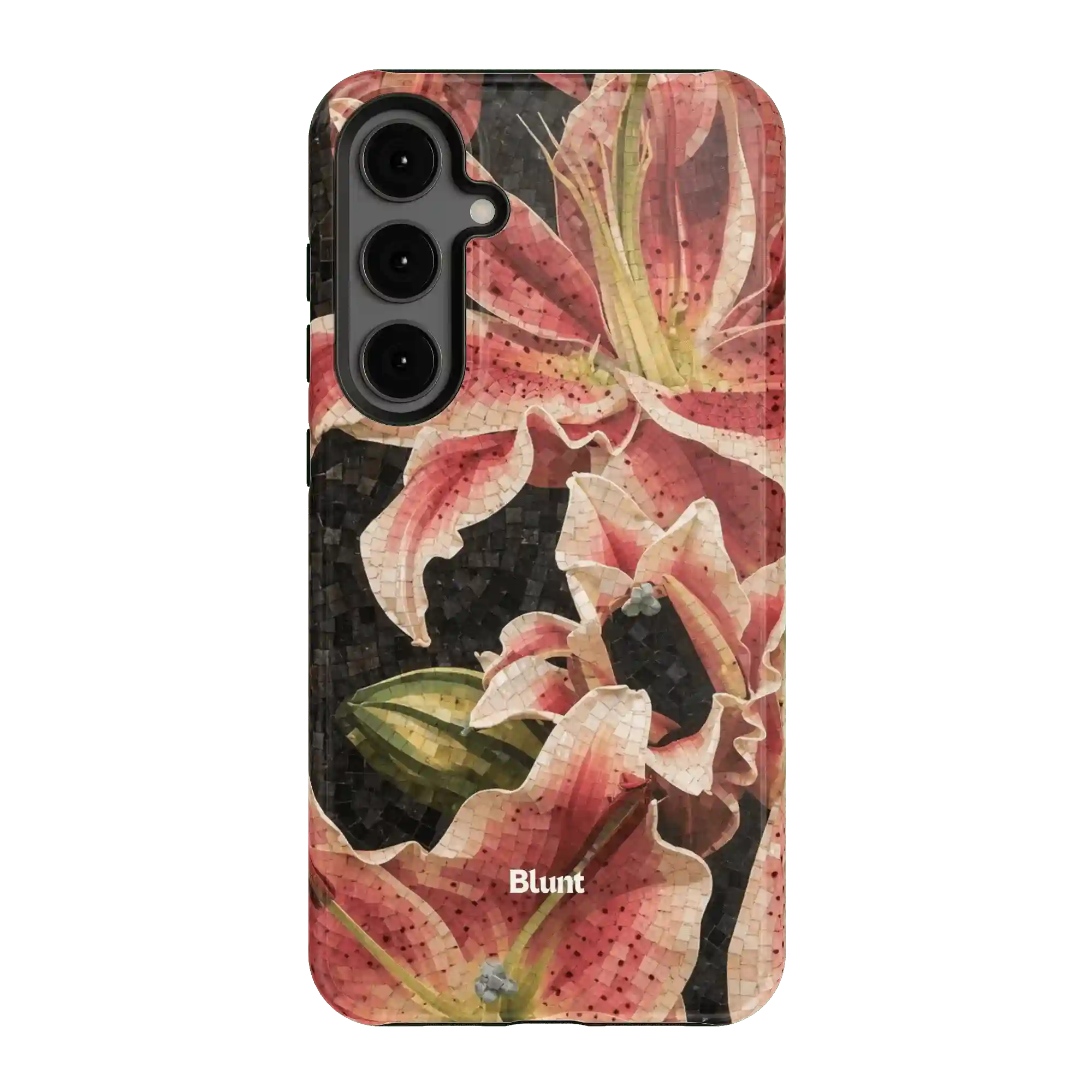 bluntcasesus.it.com