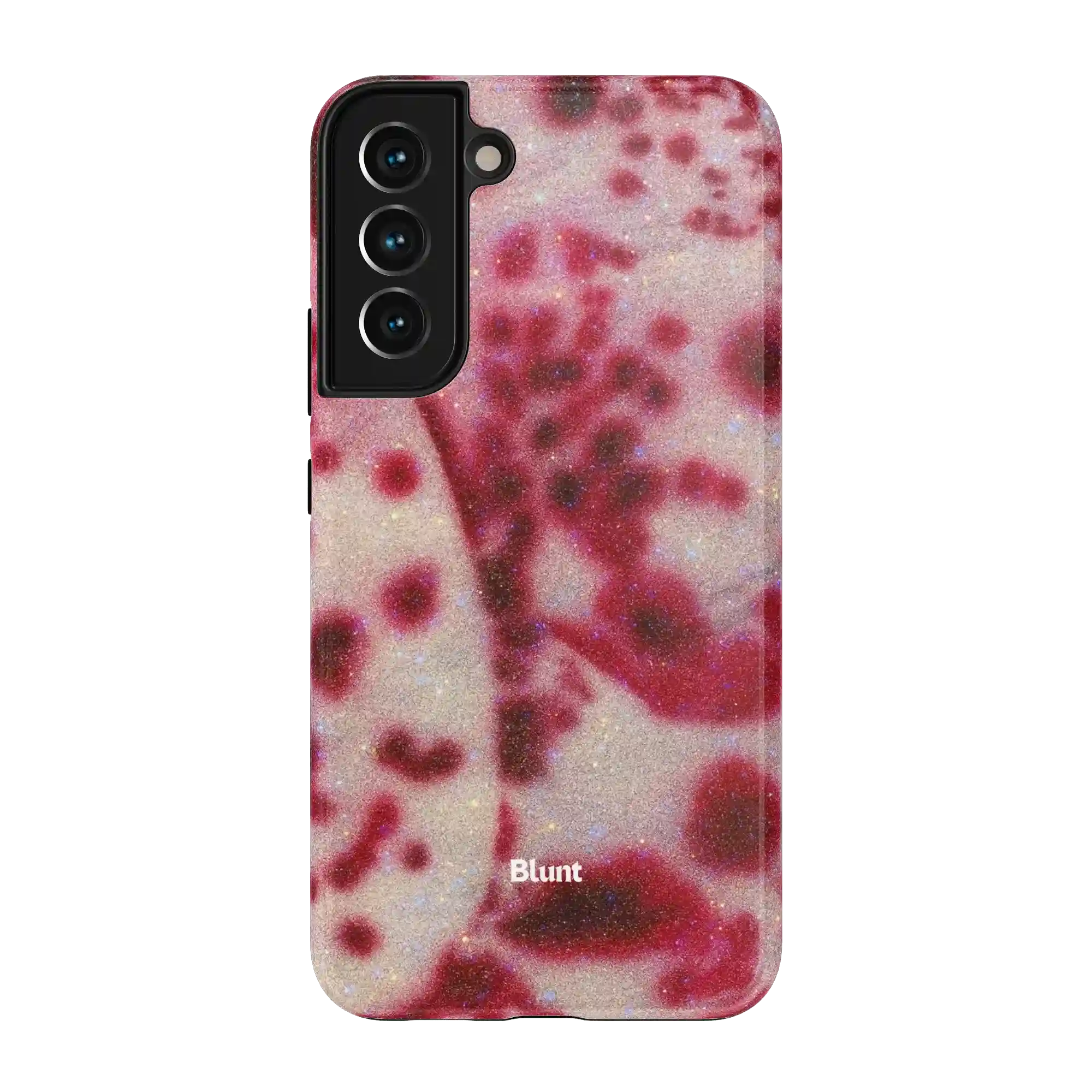 bluntcasesus.it.com
