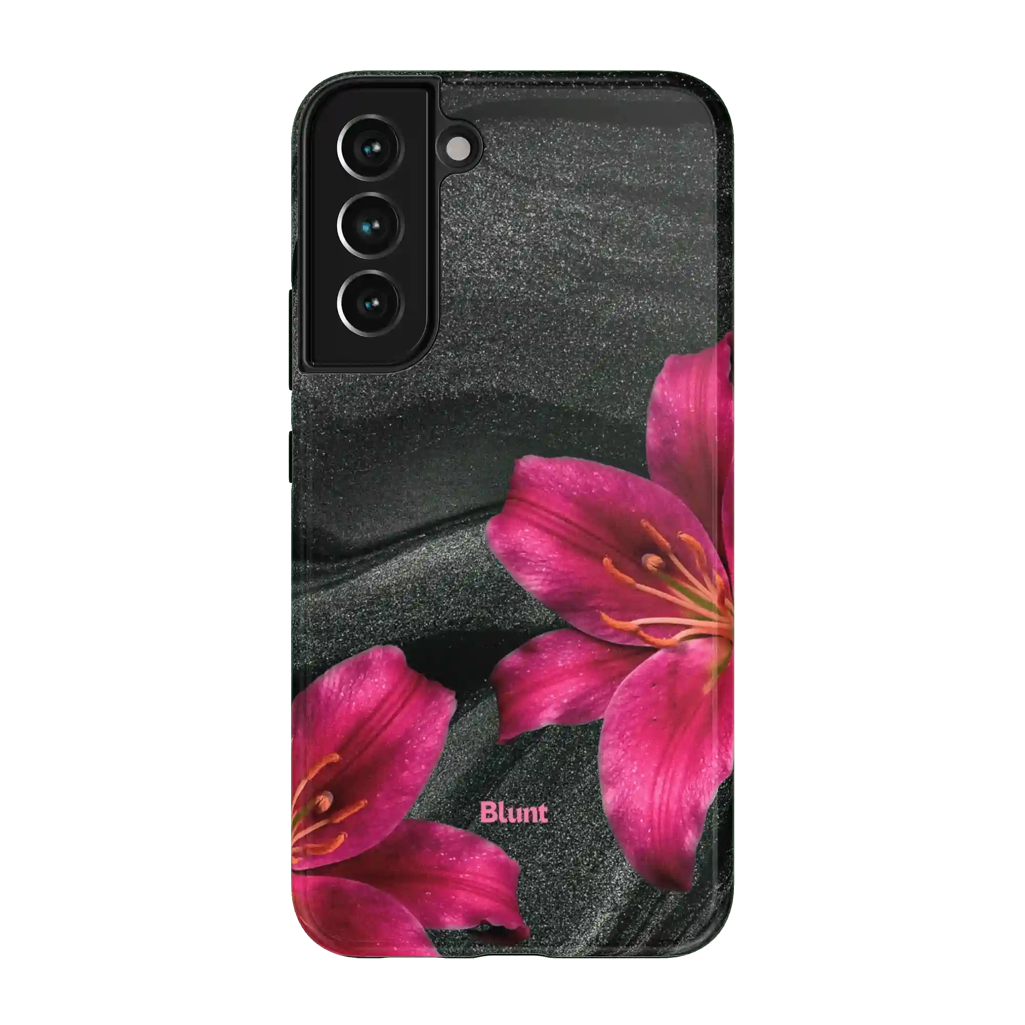 bluntcasesus.it.com