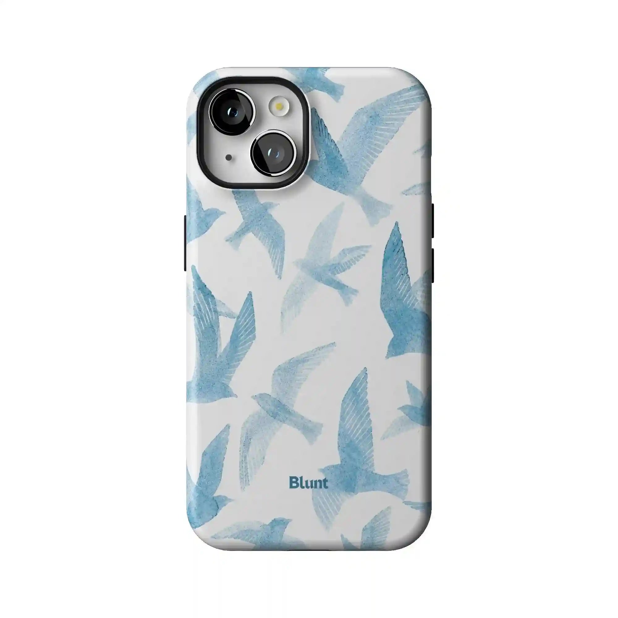 bluntcasesus.it.com