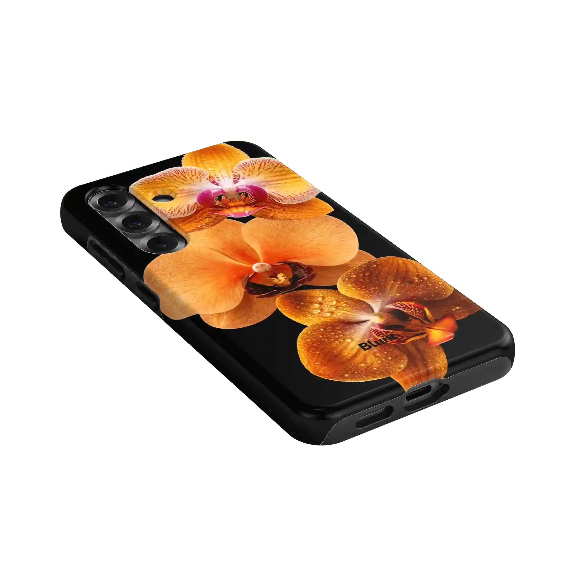 bluntcasesus.it.com