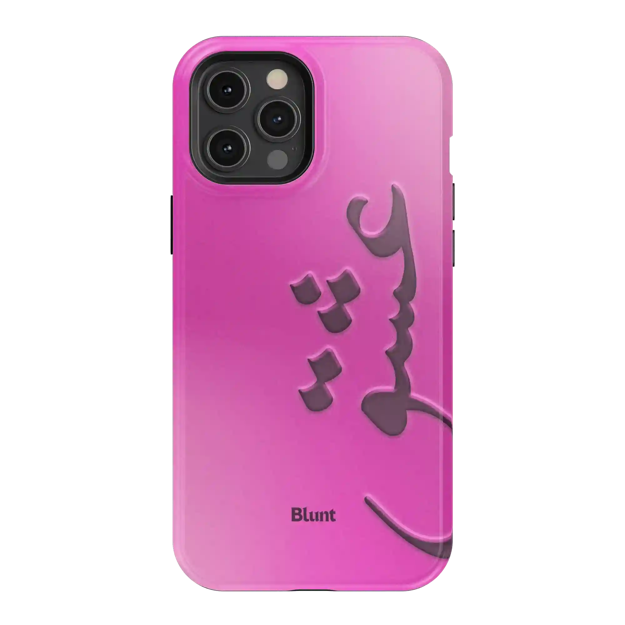 bluntcasesus.it.com