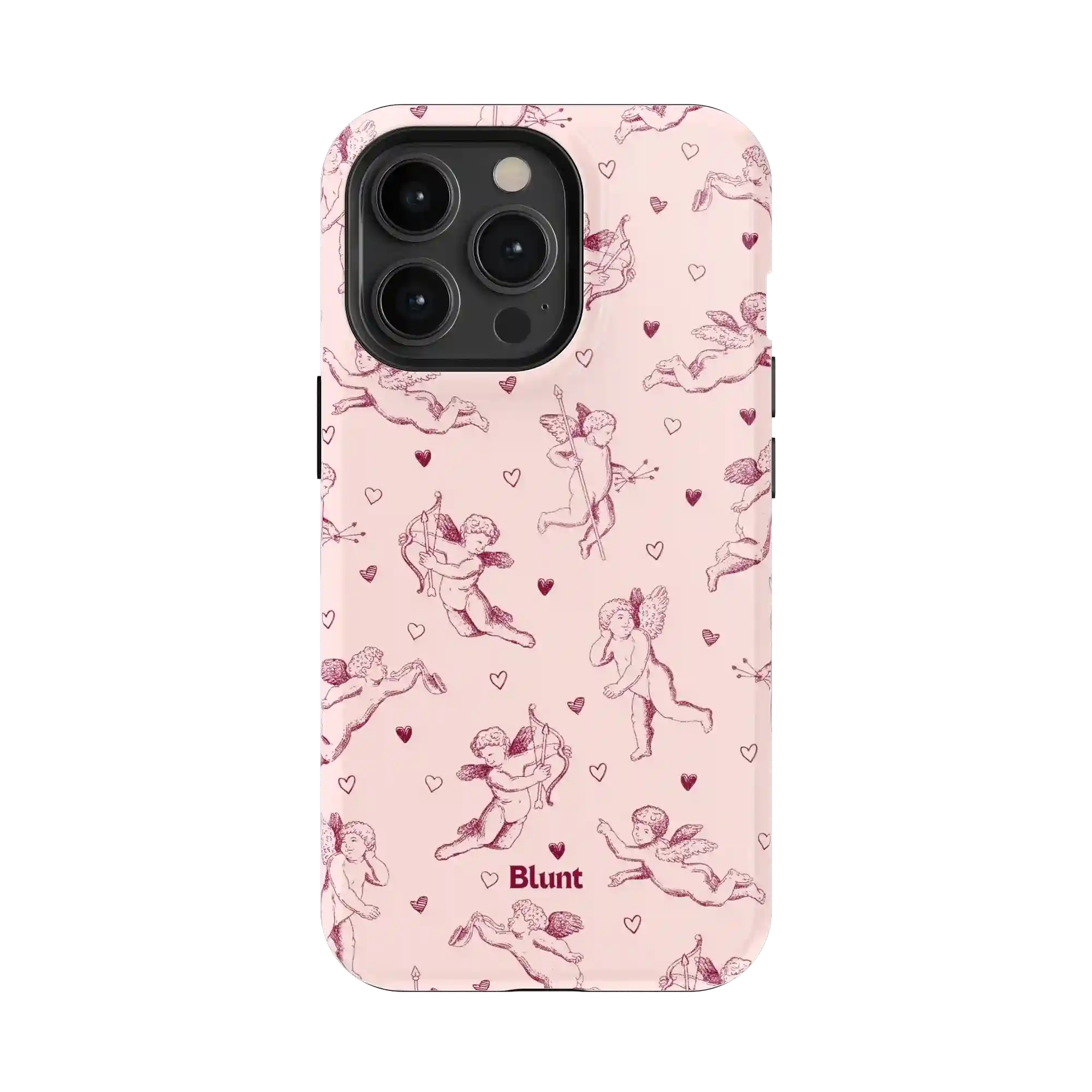 bluntcasesus.it.com
