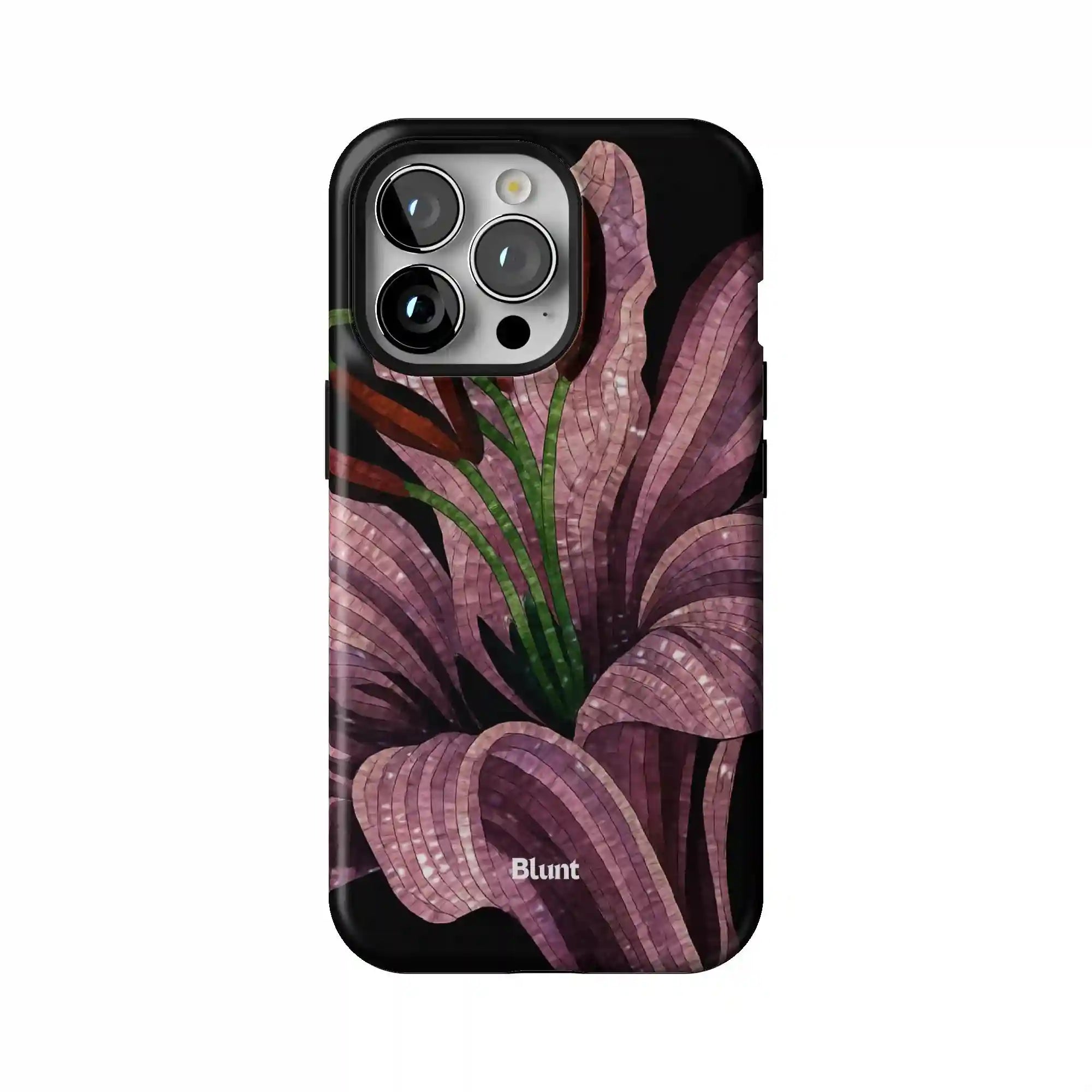 bluntcasesus.it.com