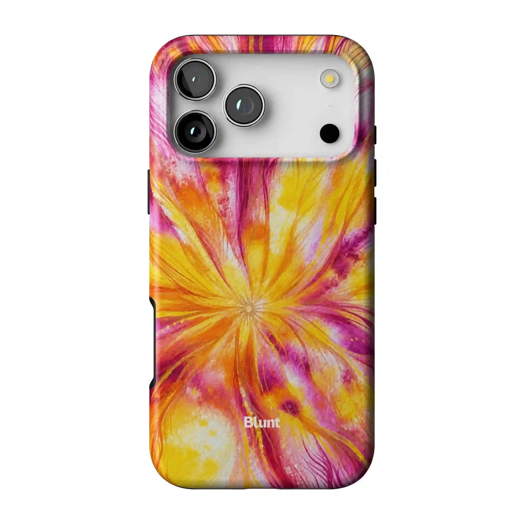 bluntcasesus.it.com