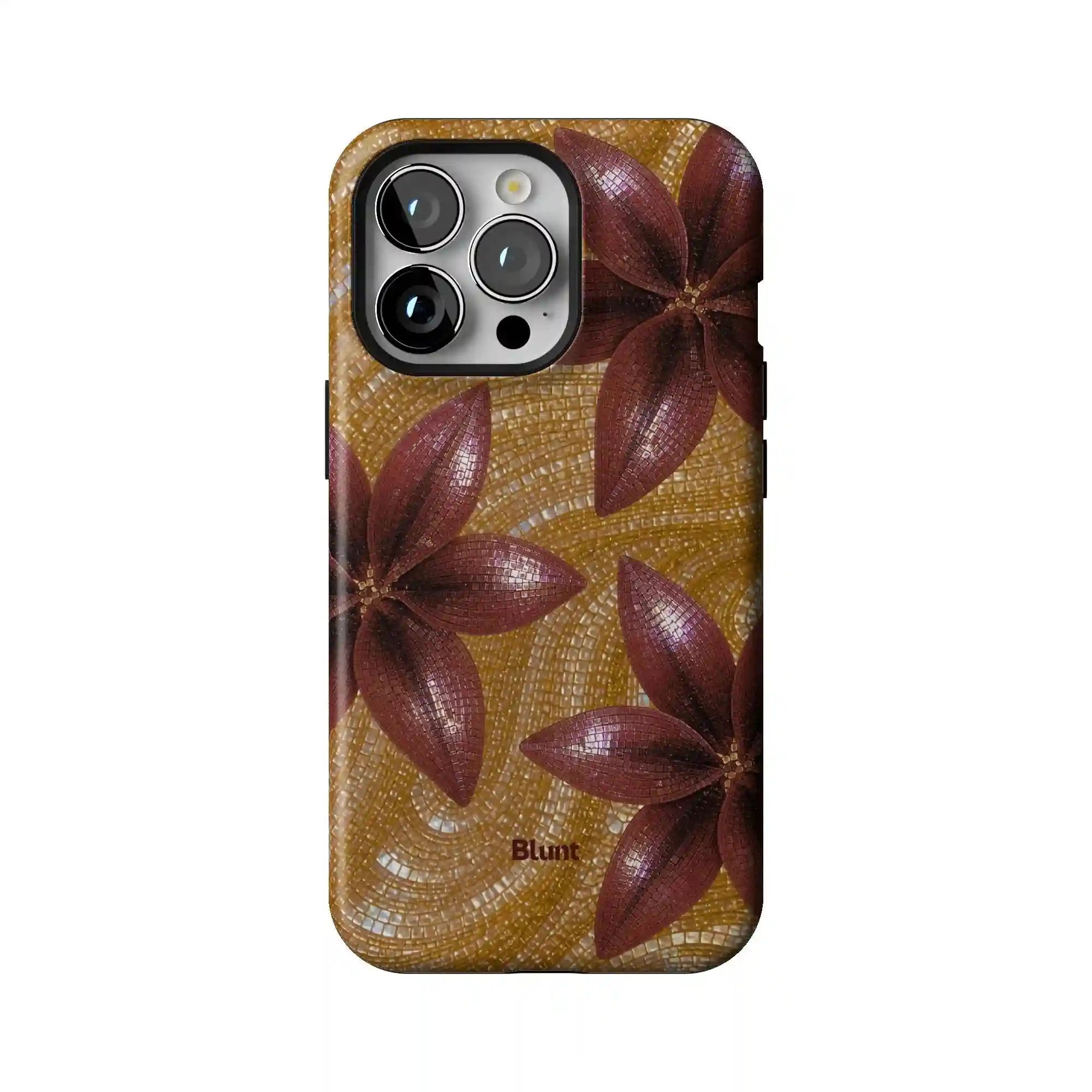 bluntcasesus.it.com