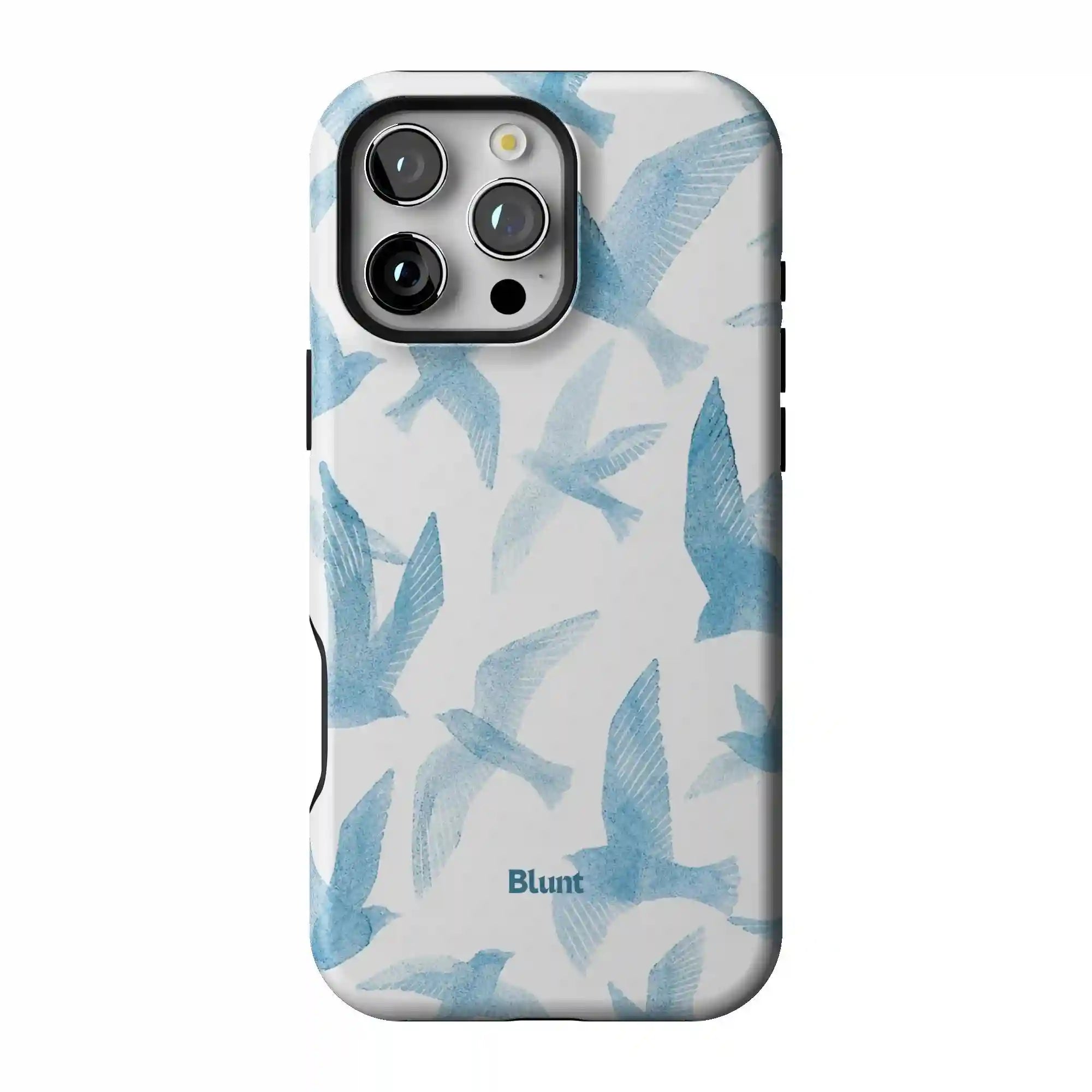 bluntcasesus.it.com