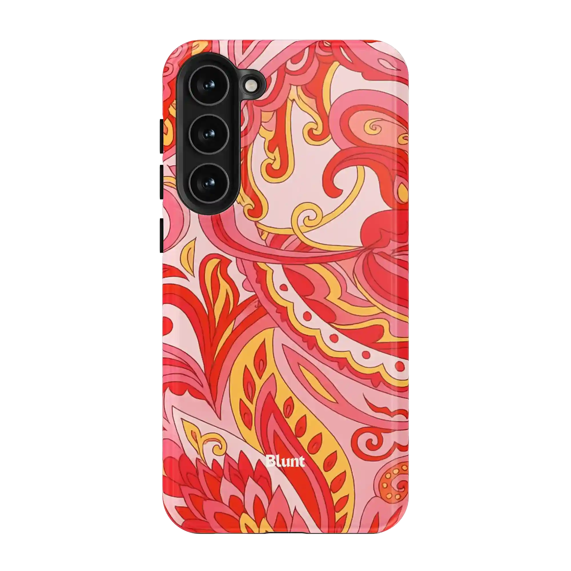 bluntcasesus.it.com