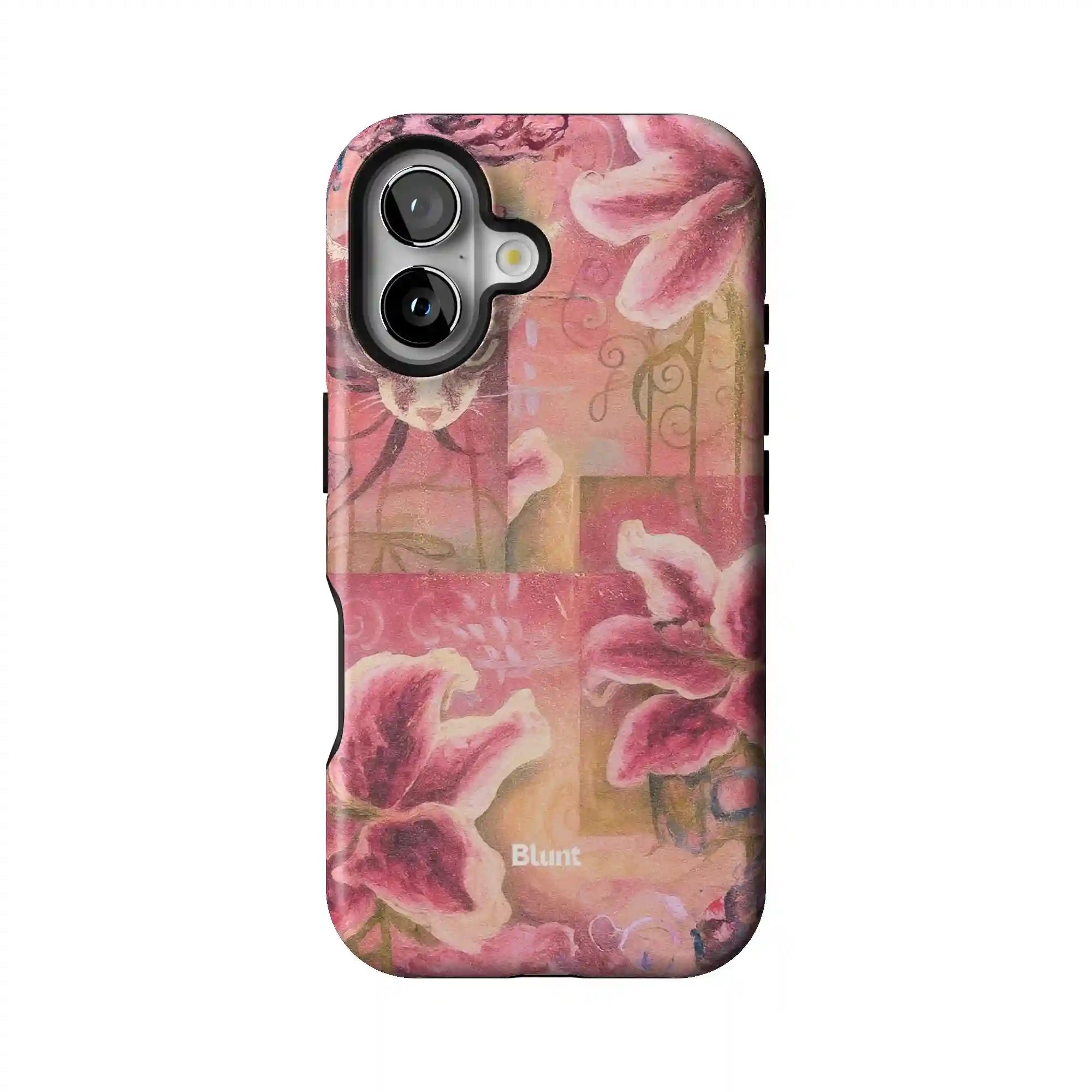 bluntcasesus.it.com