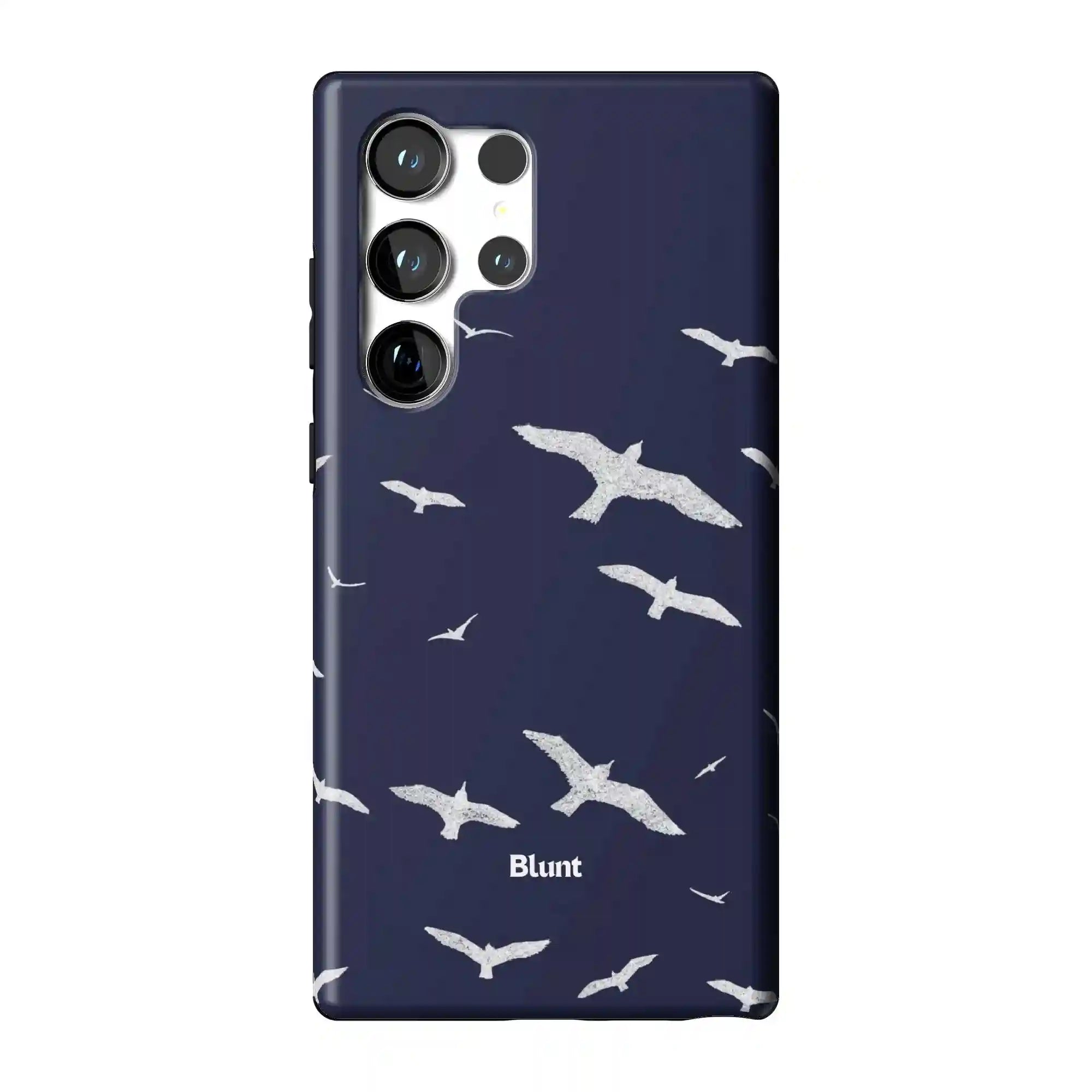 bluntcasesus.it.com