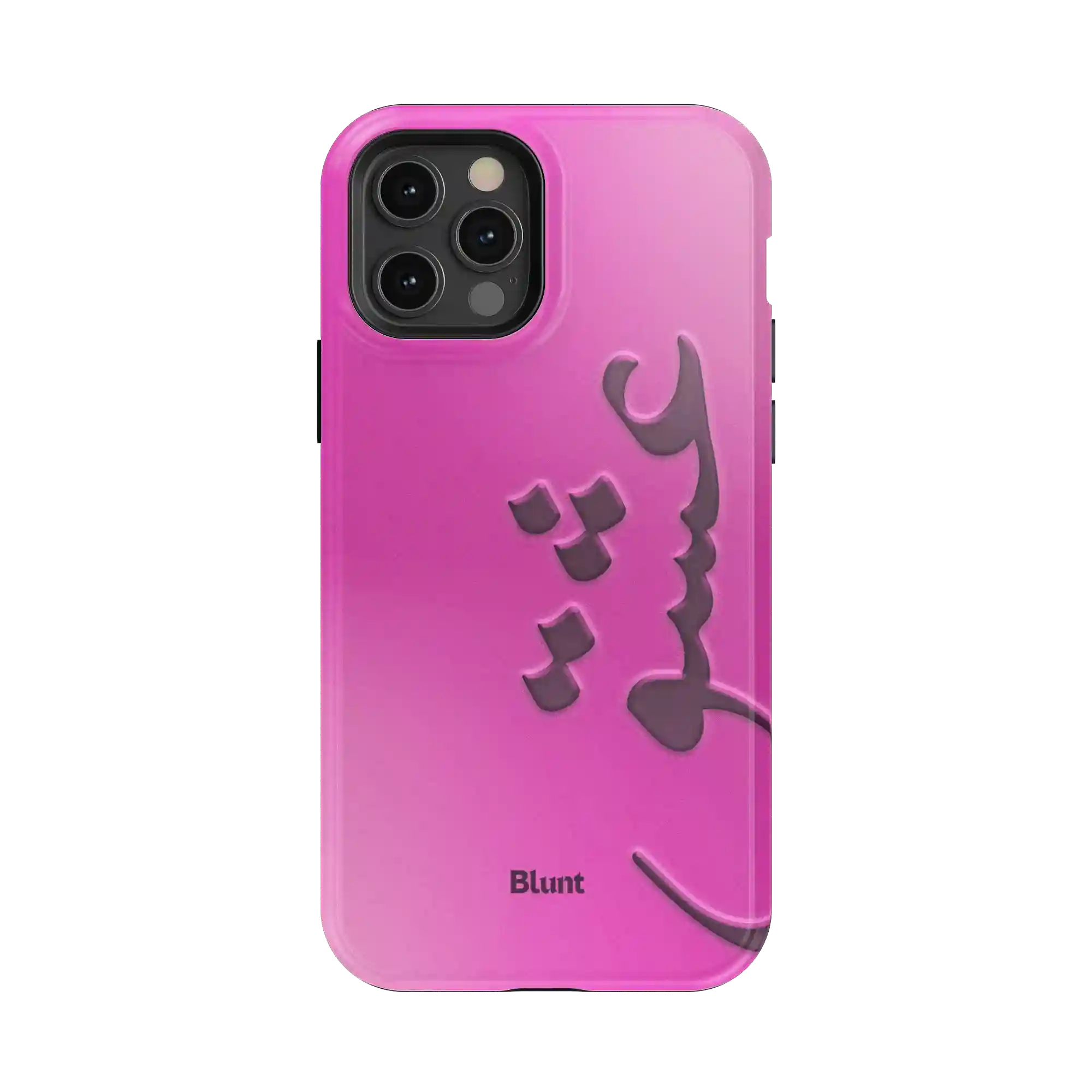 bluntcasesus.it.com