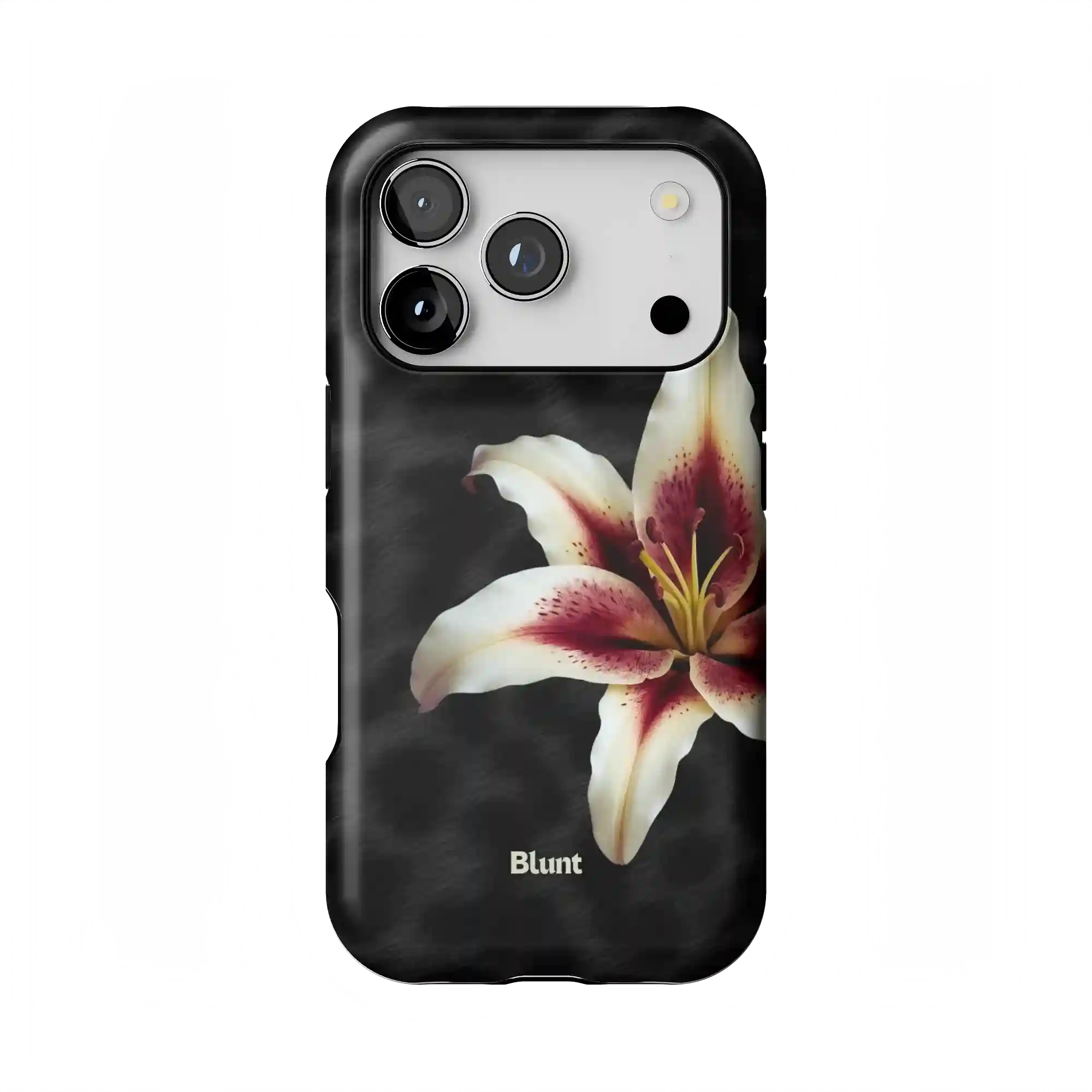 bluntcasesus.it.com