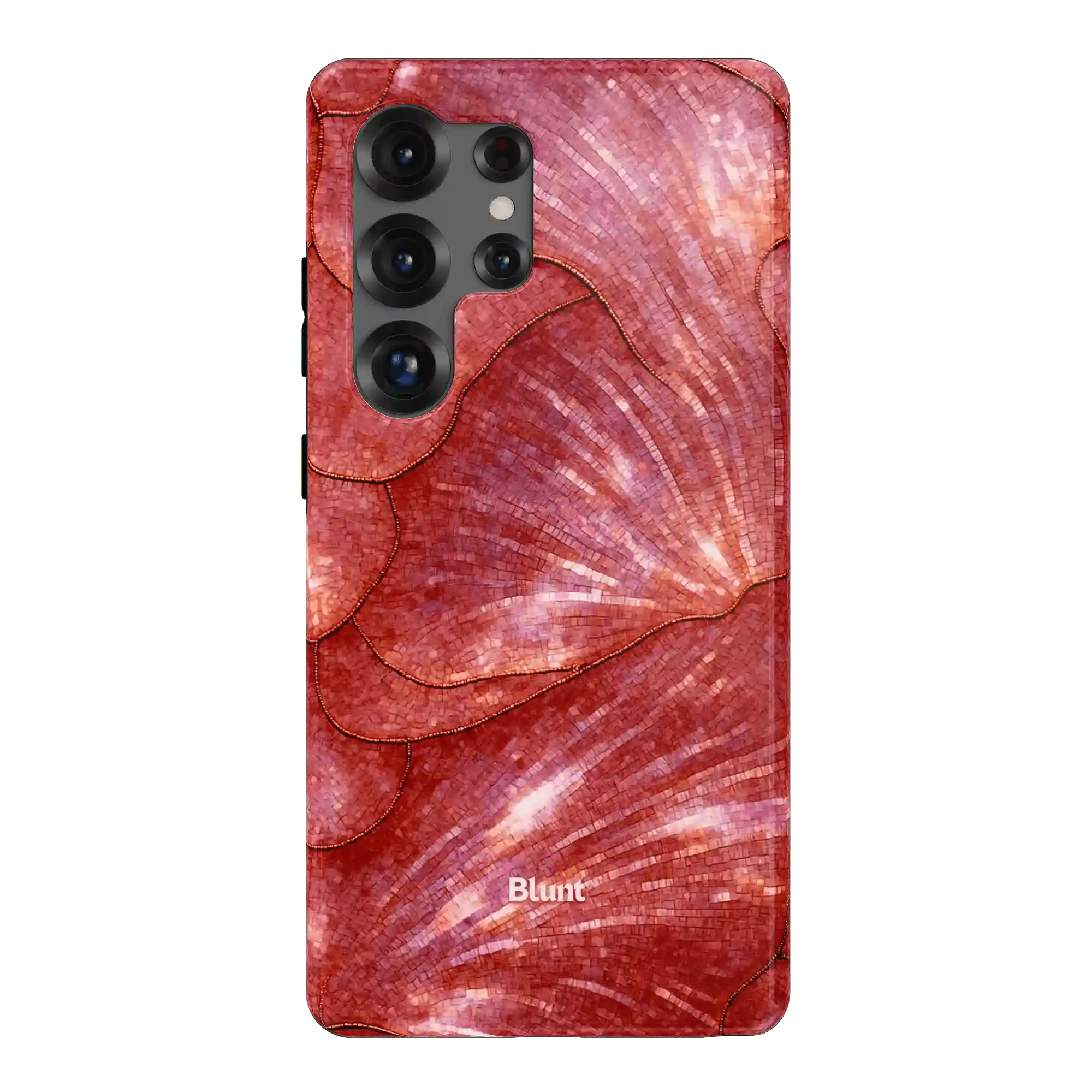 bluntcasesus.it.com