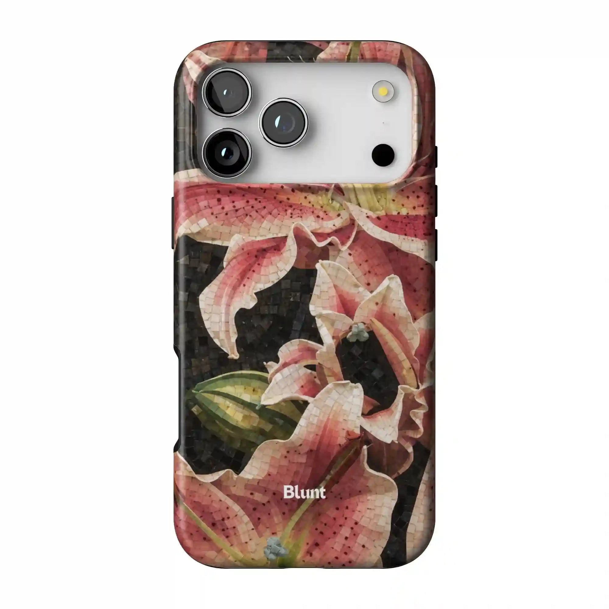 bluntcasesus.it.com