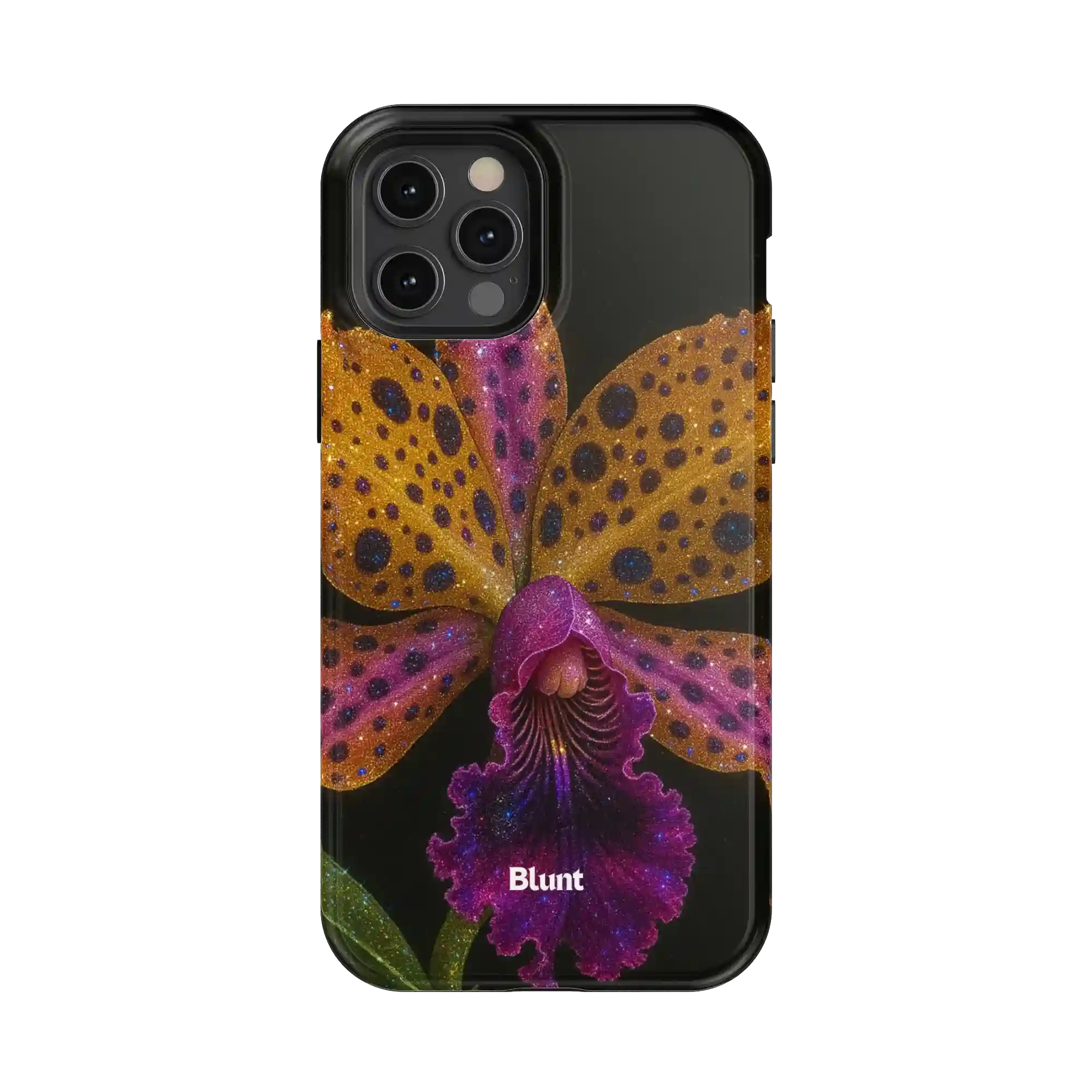 bluntcasesus.it.com