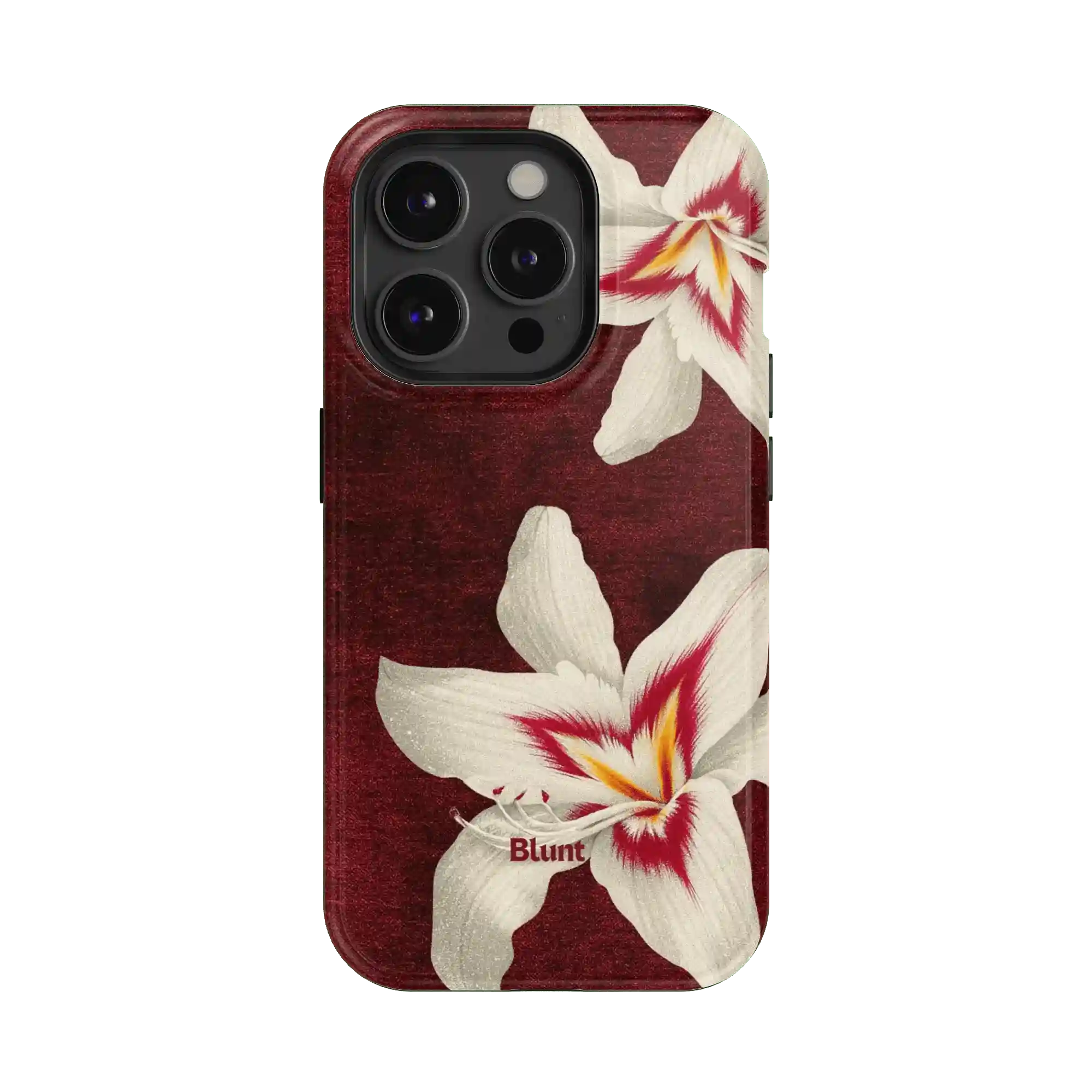 bluntcasesus.it.com